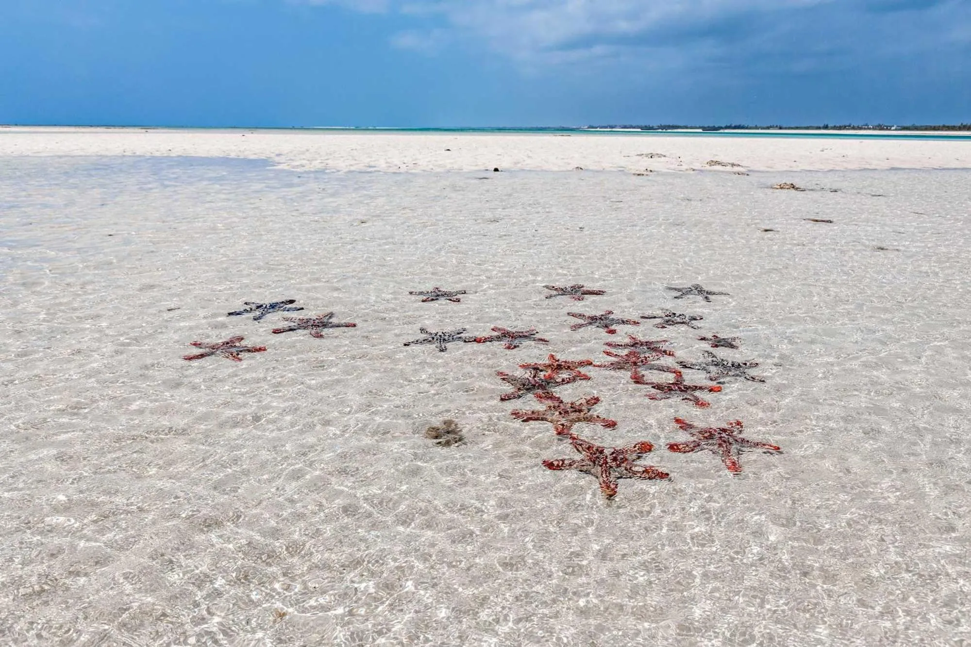 Natural landscape in Nyumba Ya Mbuyu