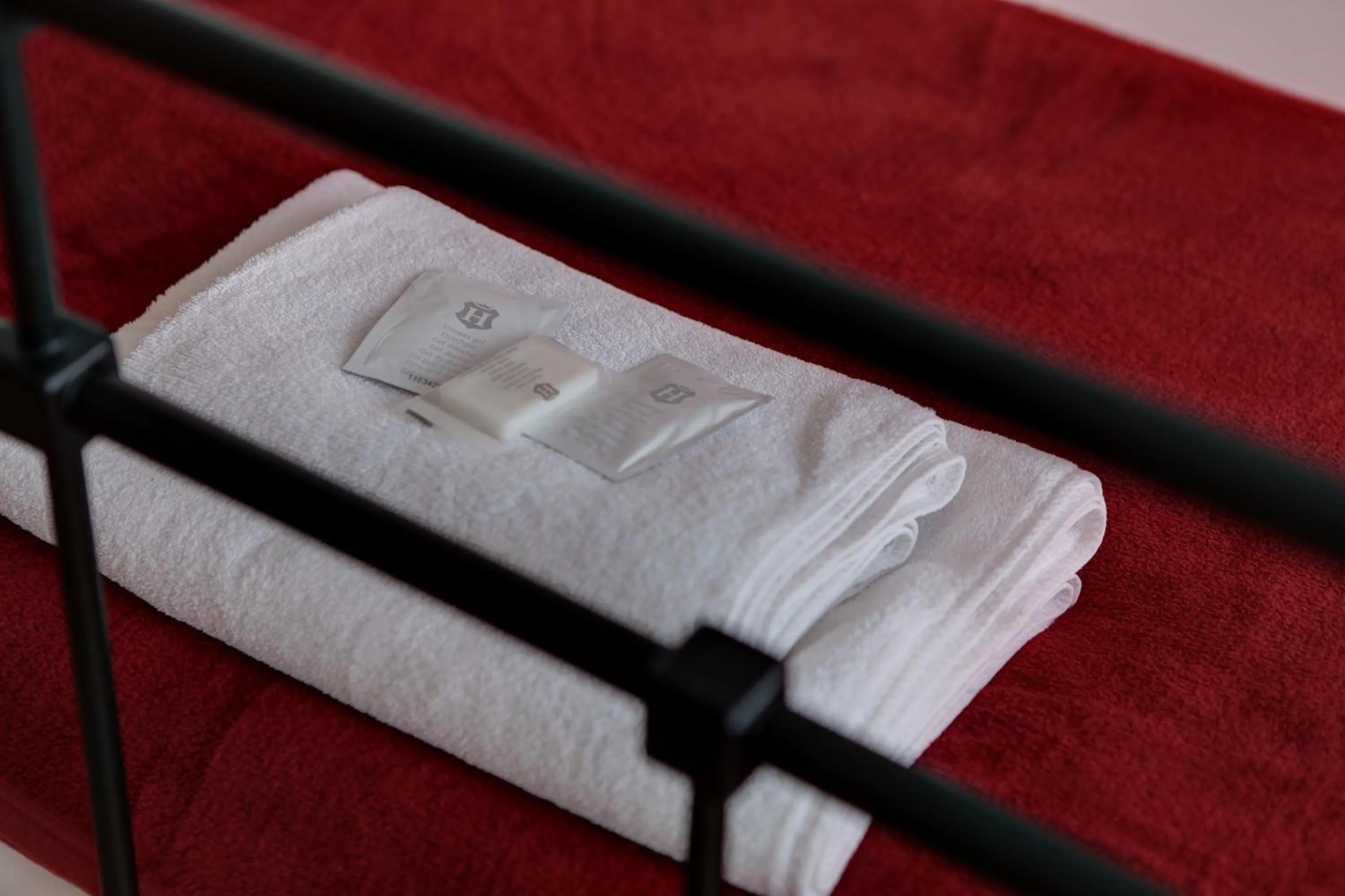 Other in Garni Hotel Rödelheimer Hof