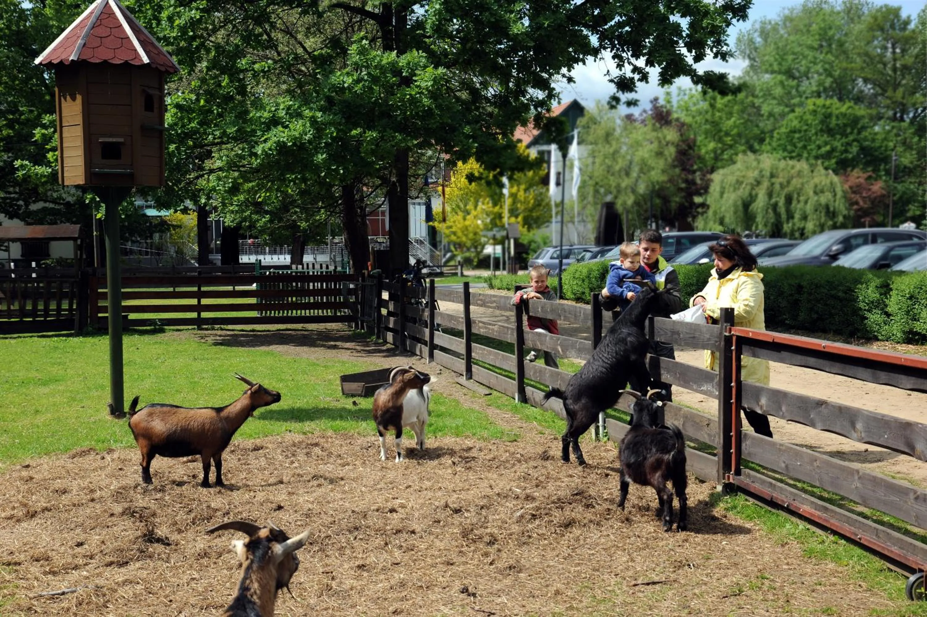 Garden in Landhotel Burg im Spreewald - Resort & Spa
