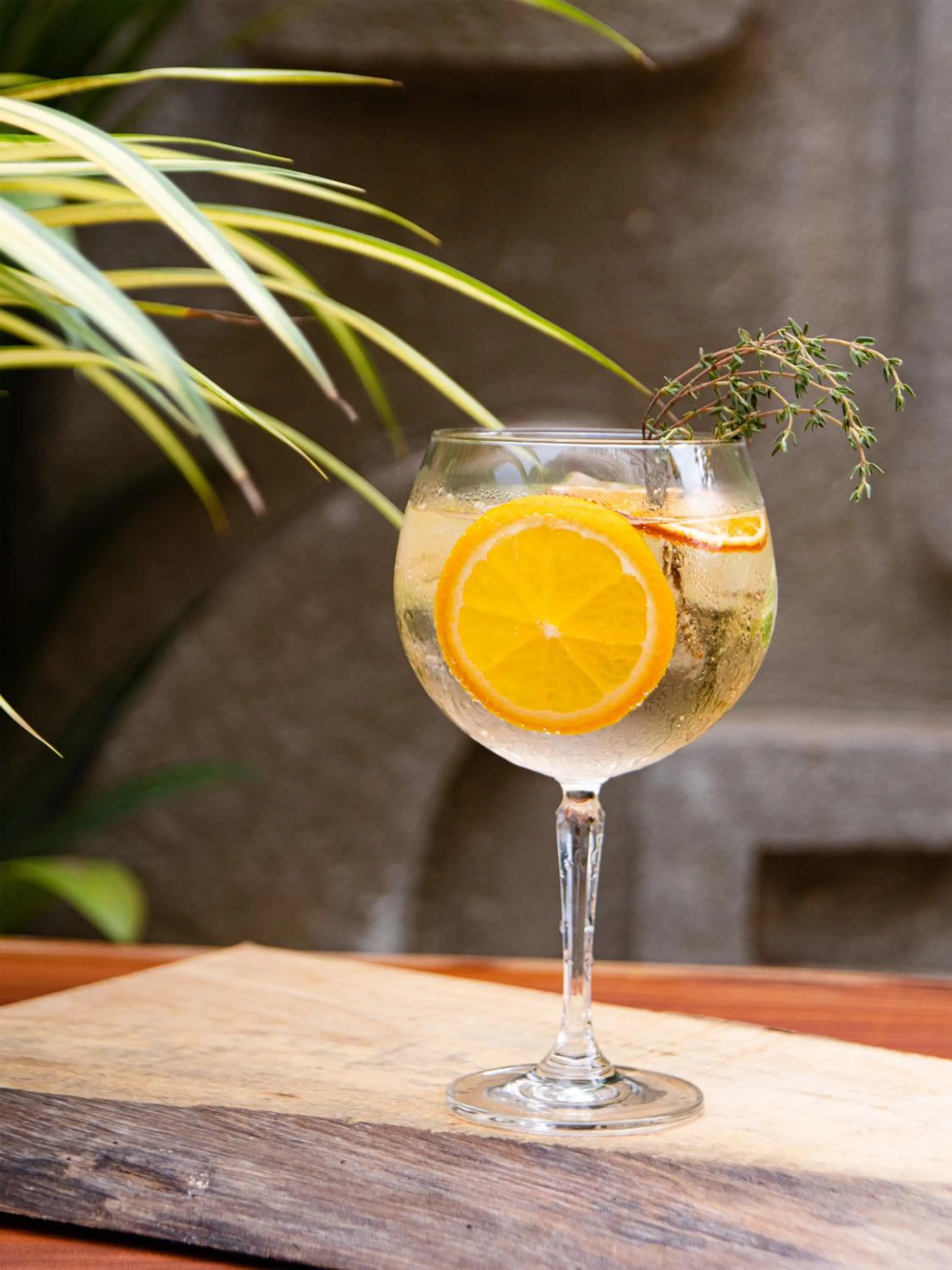 Restaurant/places to eat in 3102bce - A Vedic Resort