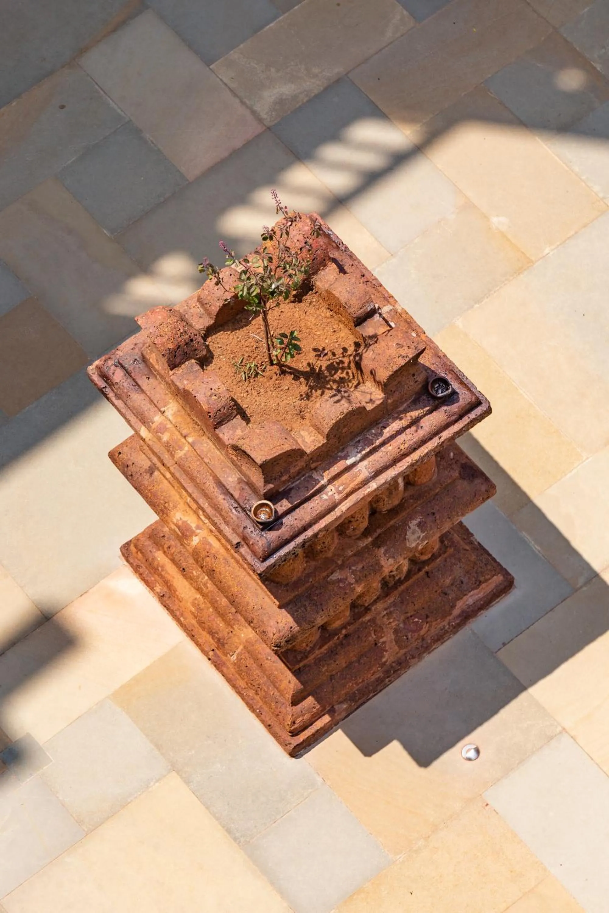 Activities in 3102bce - A Vedic Resort