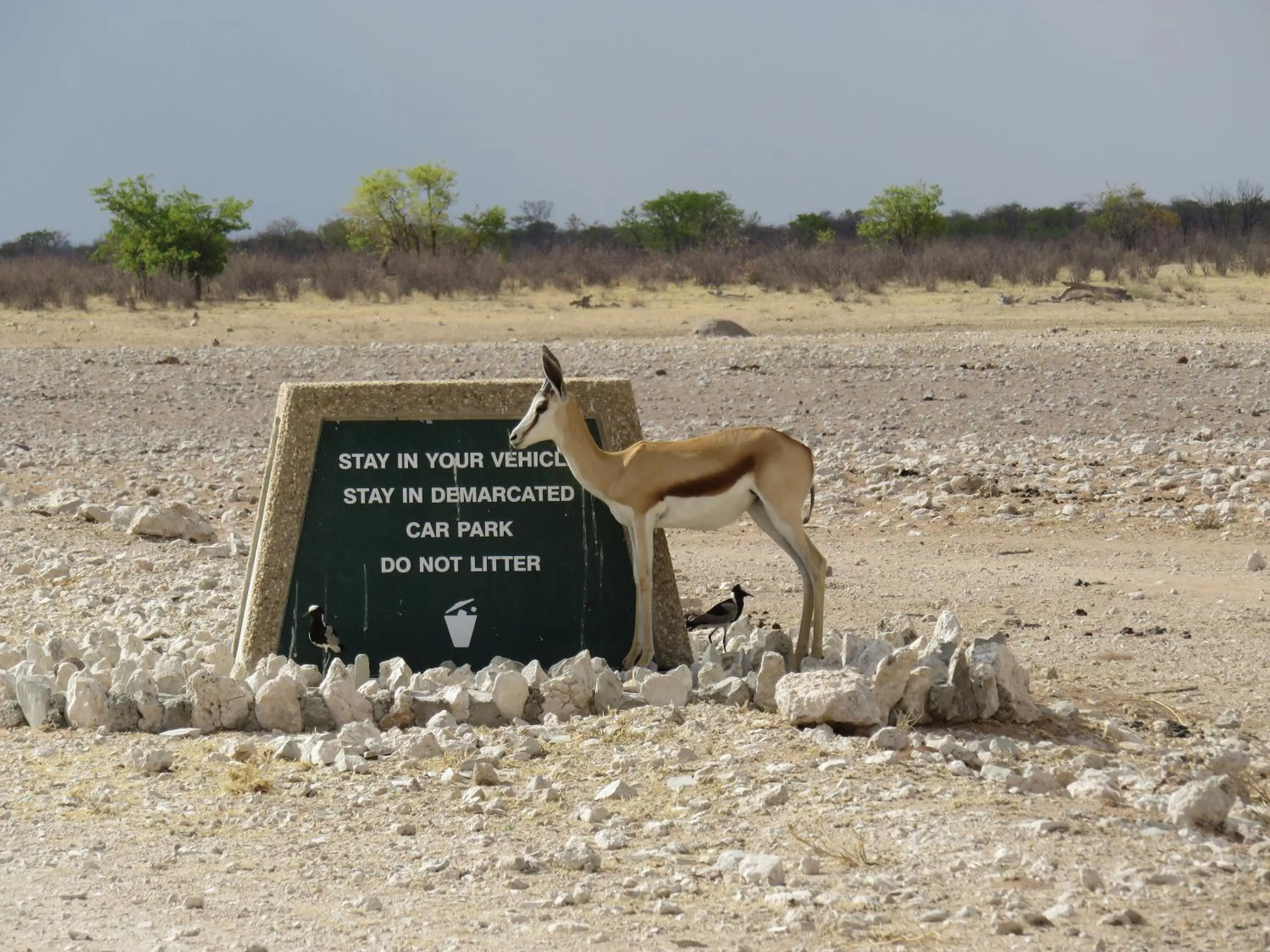 Activities in Etosha Safari Campsite
