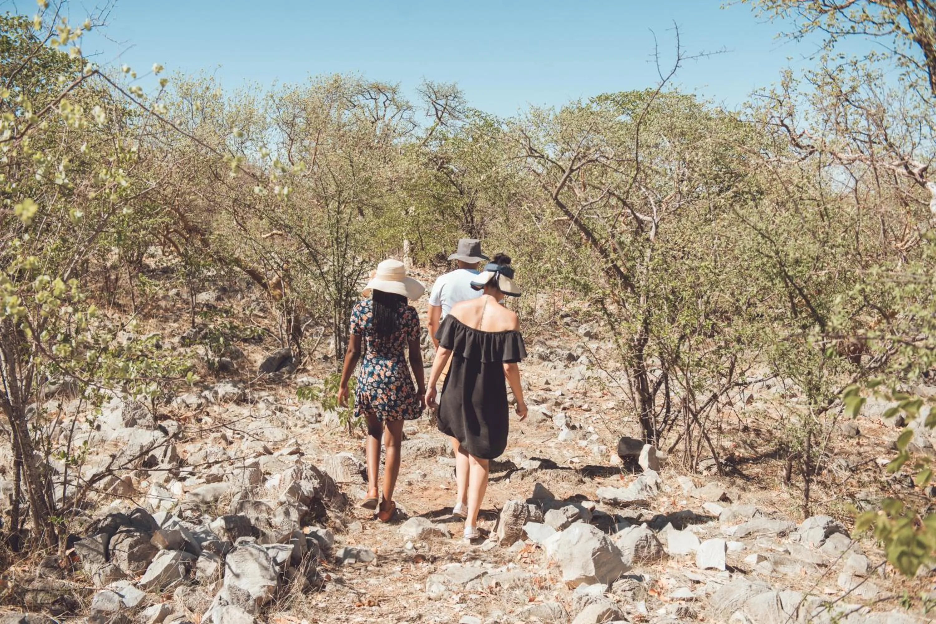 Day in Etosha Safari Campsite