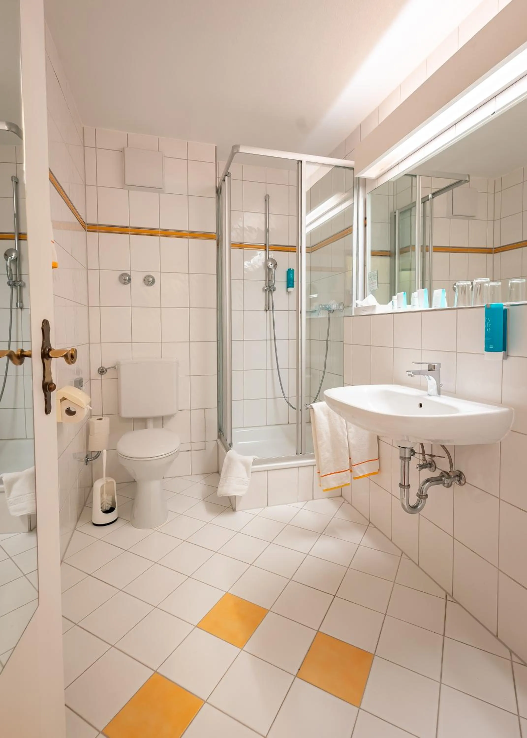 Shower in Alpenhotel Kronprinz