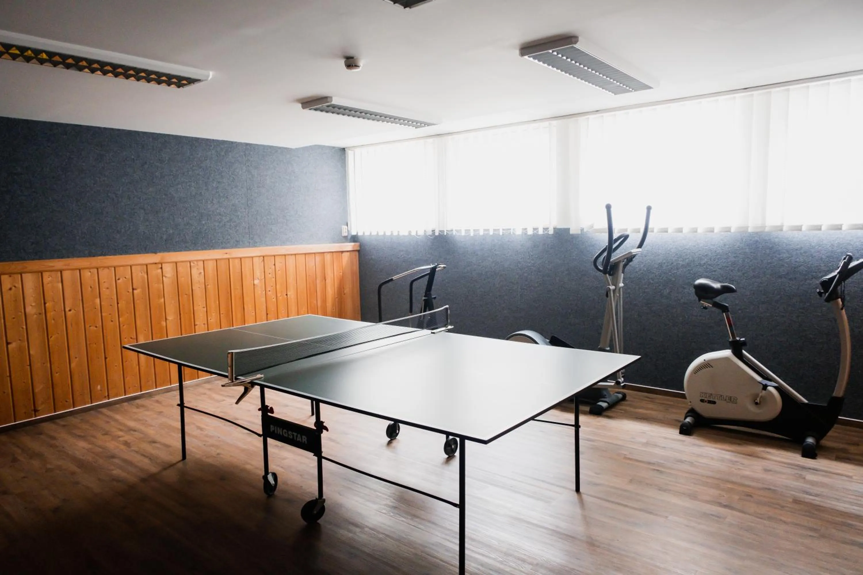 Table tennis in Pension Baranek - Baranek Resorts