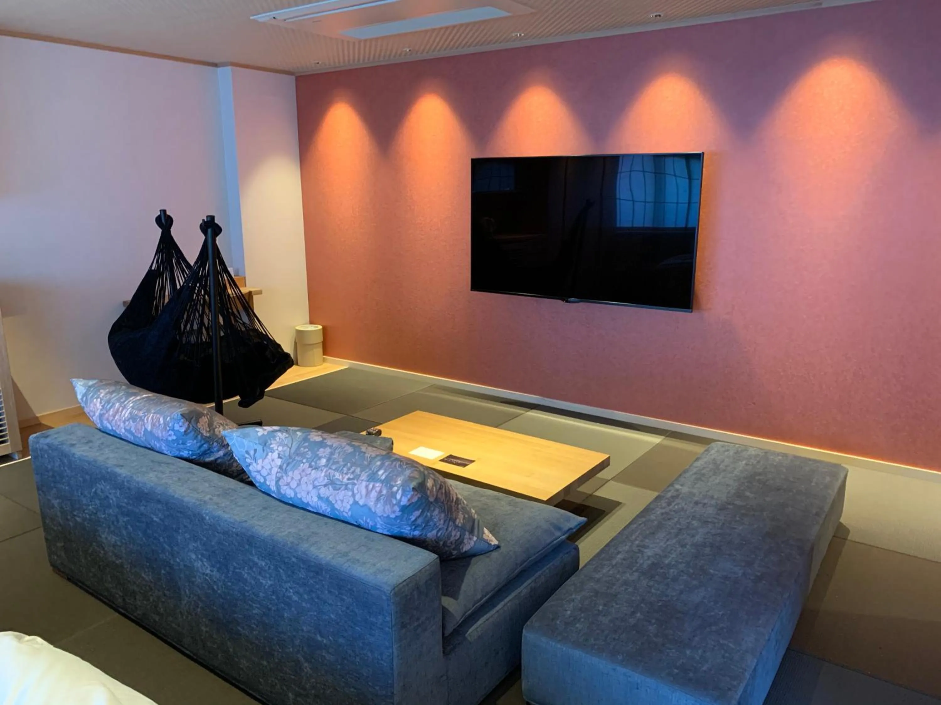 TV and multimedia in Ikeda Onsen Ryokan Tachikawa