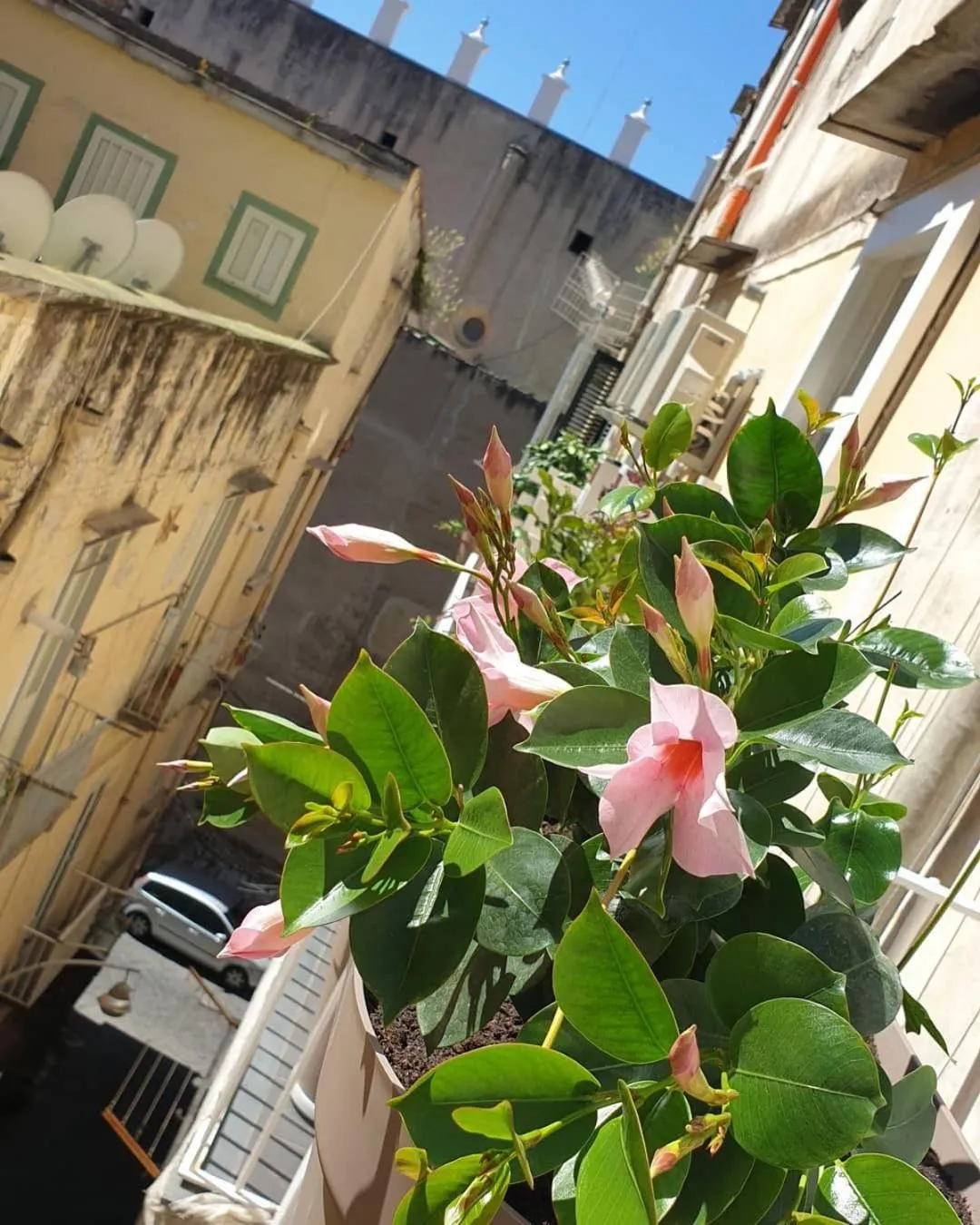 City view in Santa Chiara Inn