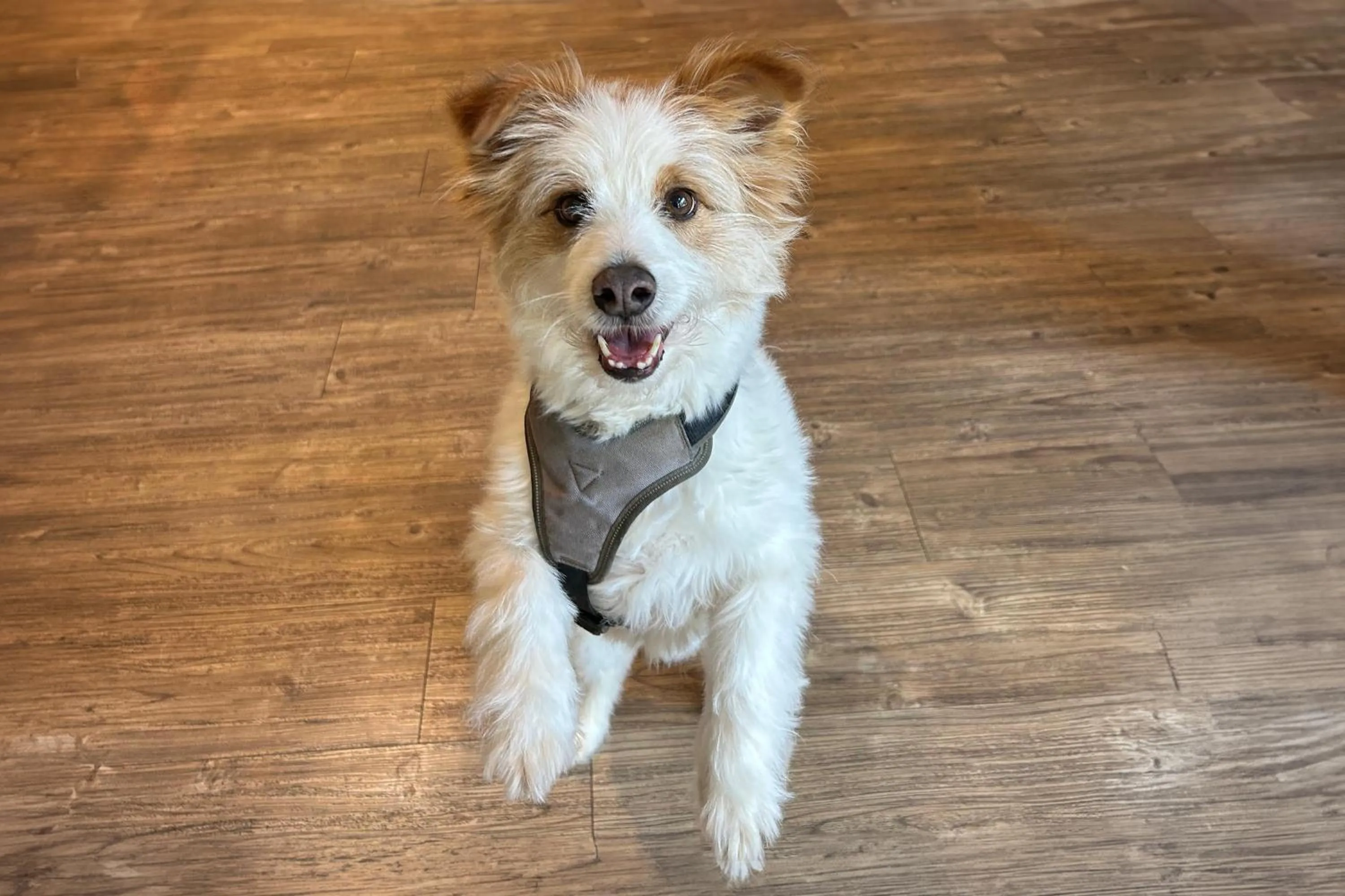 Other in Holiday Inn - the niu, Hub Dusseldorf Messe by IHG