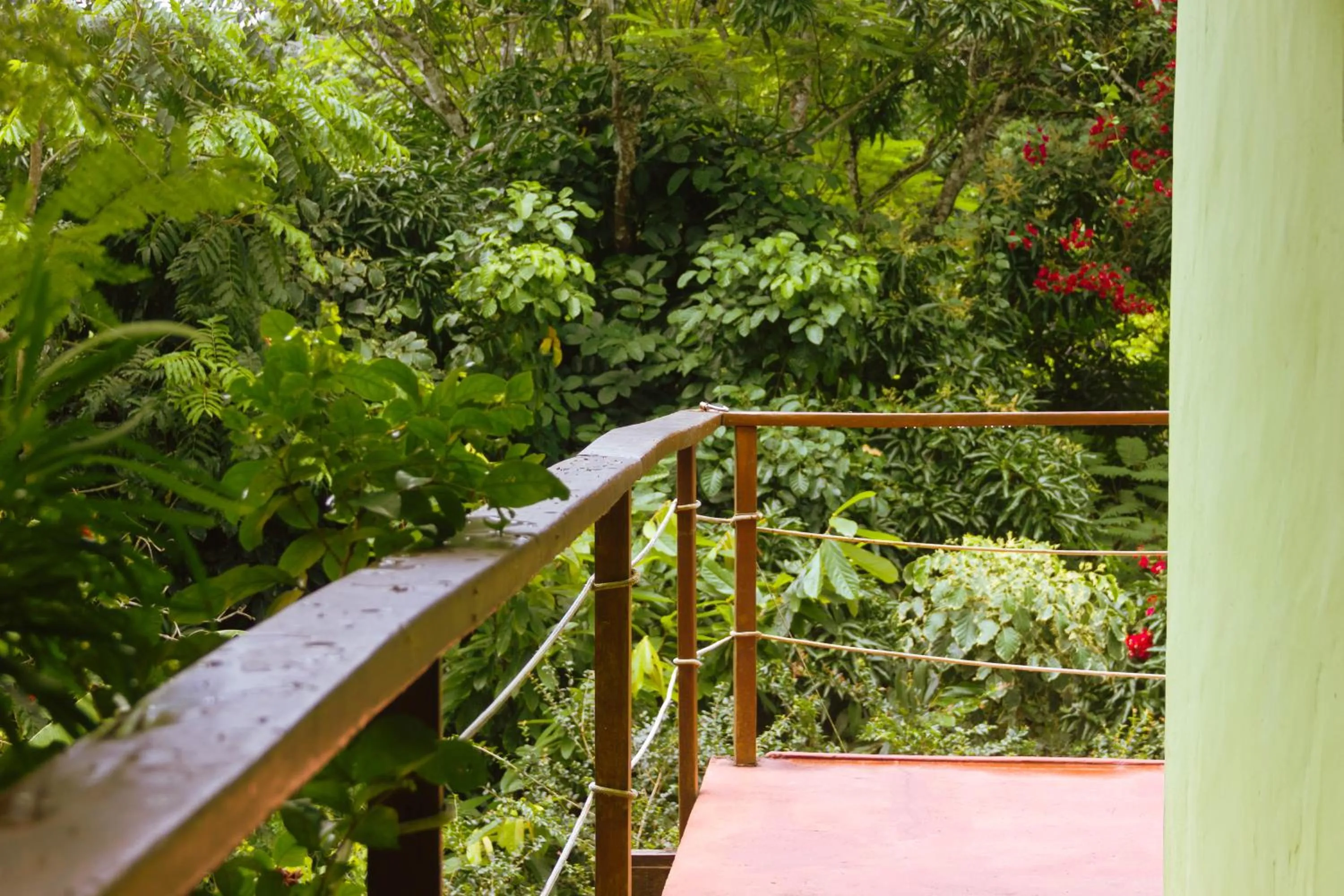 Balcony/Terrace in Pousada Aquarela