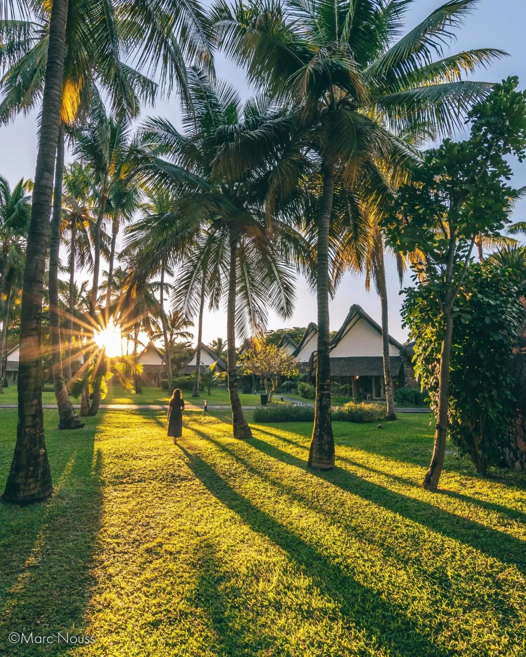 Garden in La Pirogue Mauritius