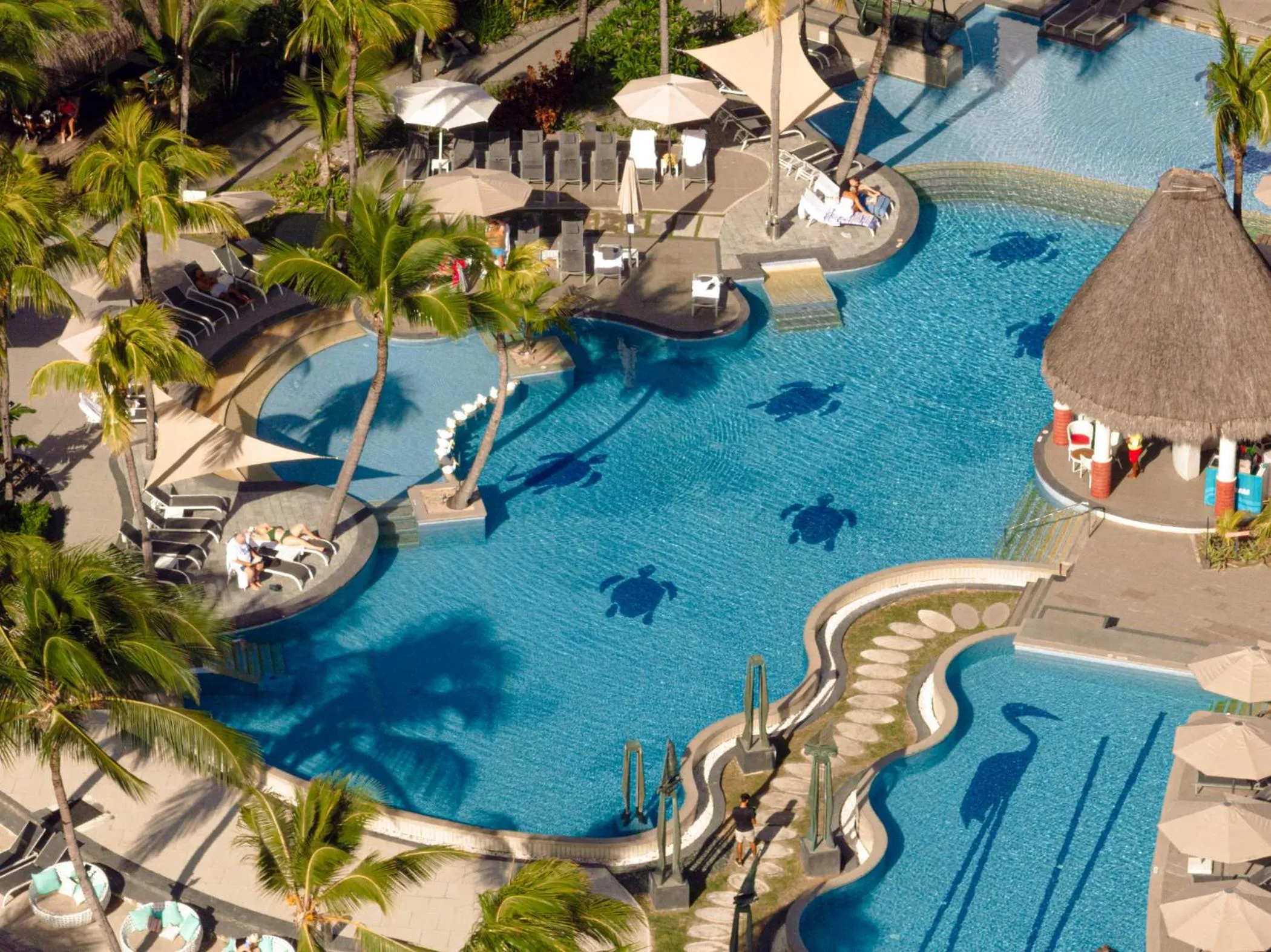 Bird's eye view in Ambre - Adults only