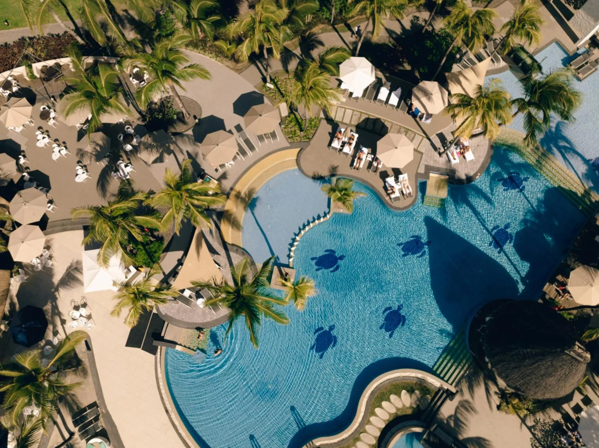 Bird's eye view in Ambre - Adults only