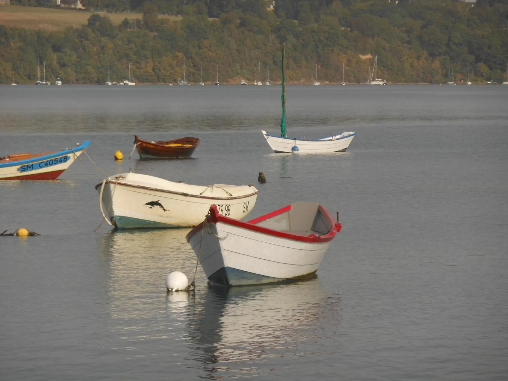 Natural landscape in Le Jardin à Mordreuc