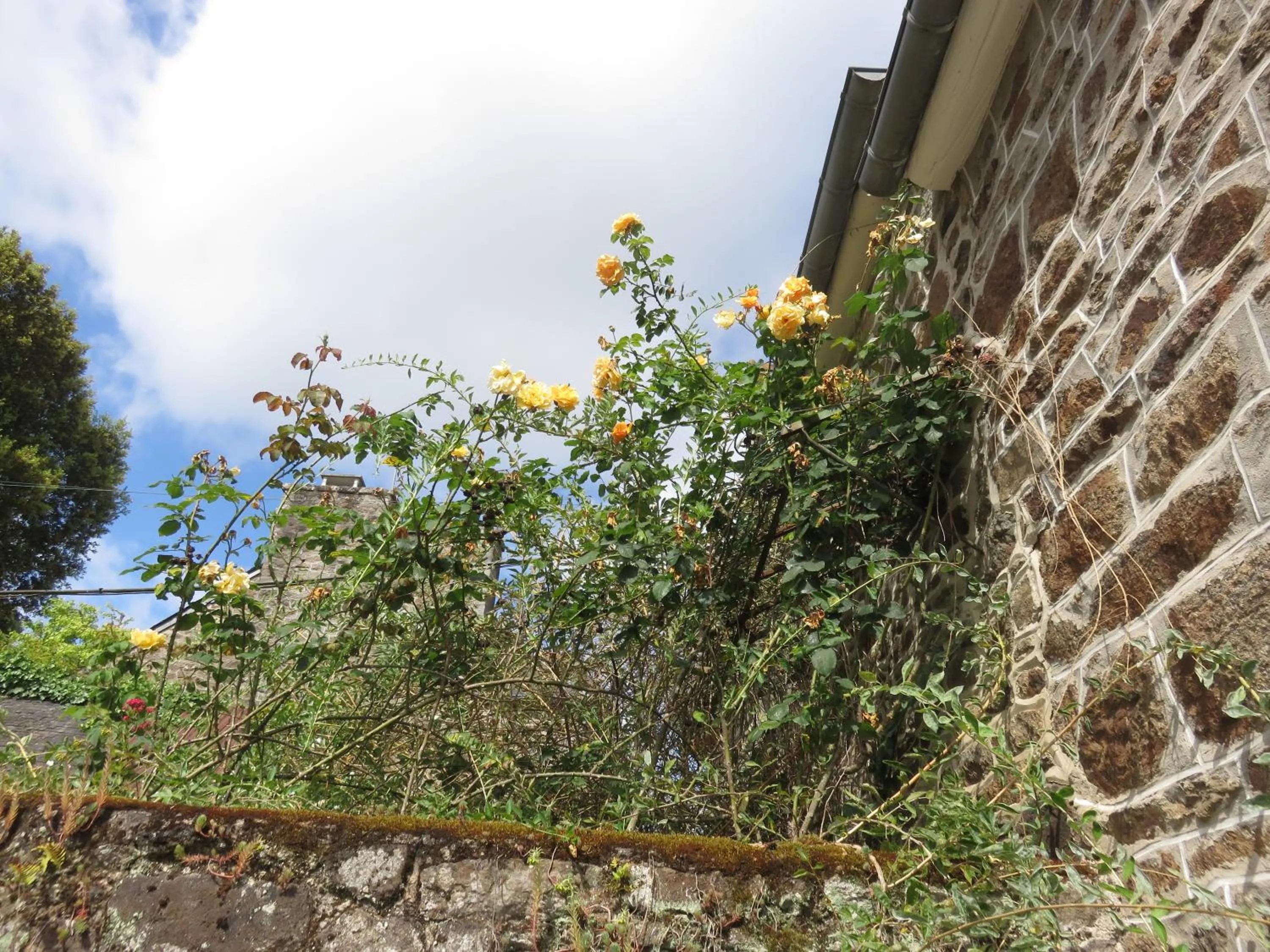 Le Jardin à Mordreuc