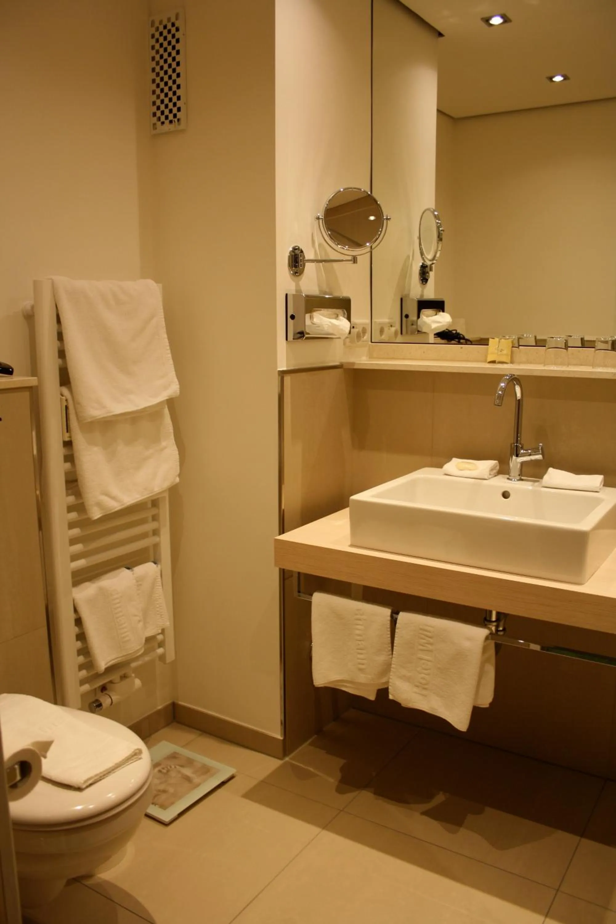 Toilet in Hotel Wünschmann