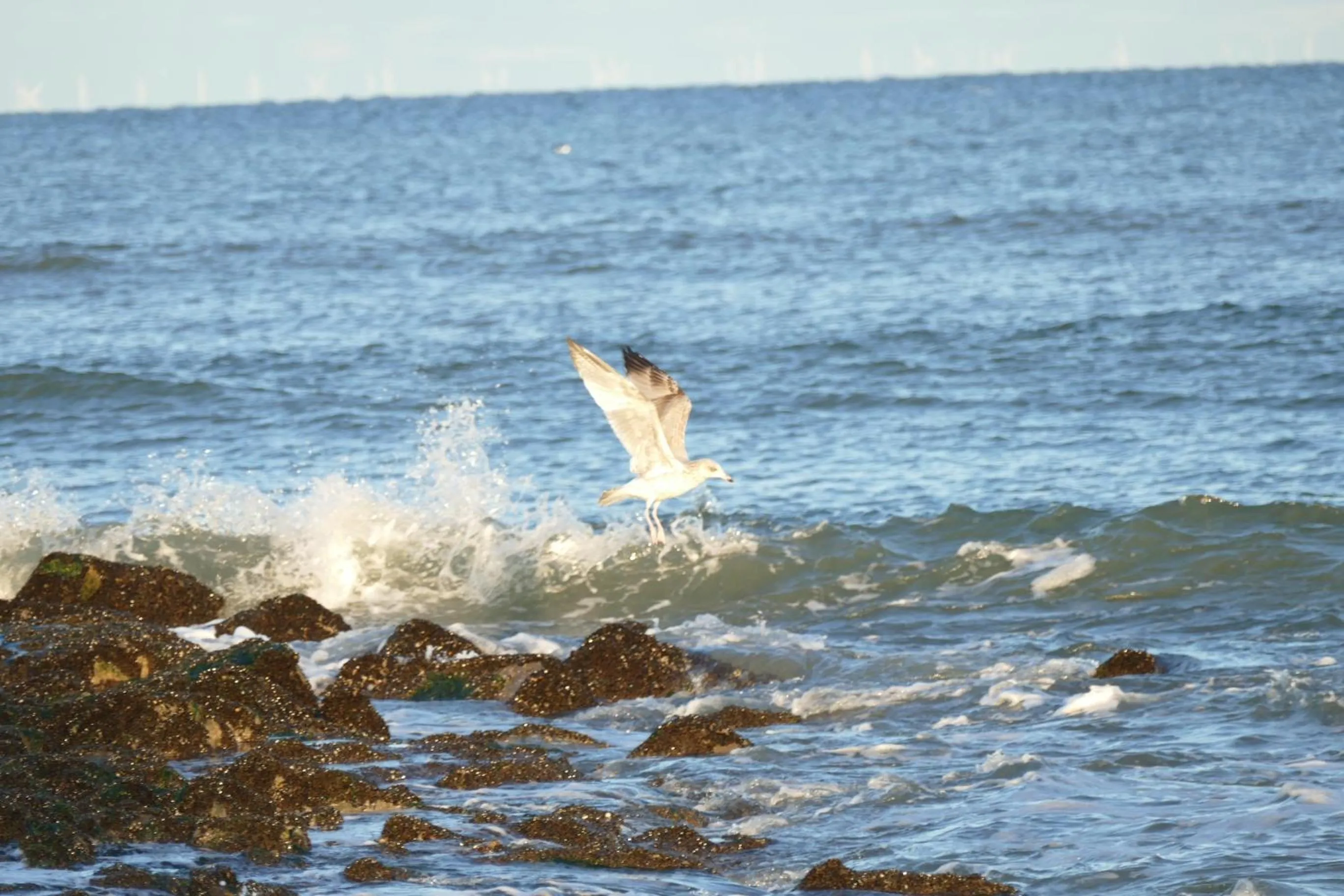 Natural landscape in Hotel Wünschmann