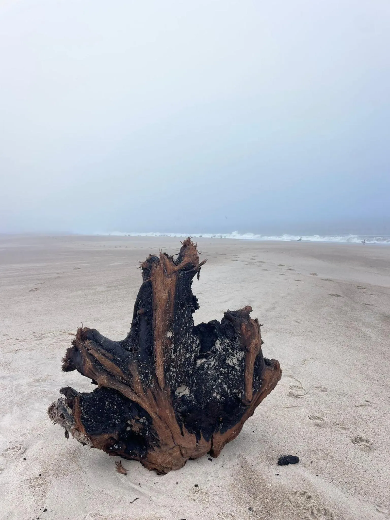 Beach in Hotel Wünschmann