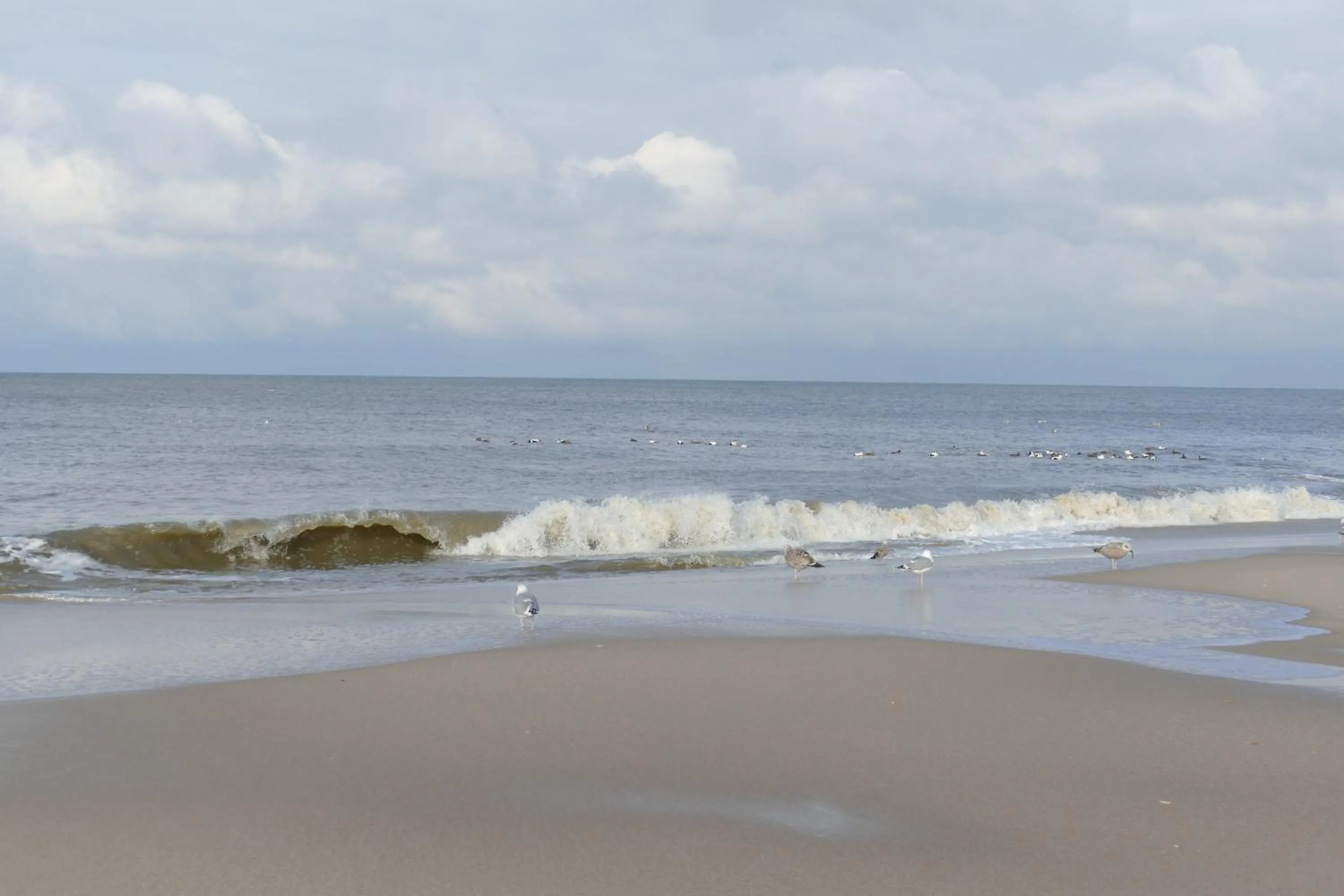 Natural landscape in Hotel Wünschmann