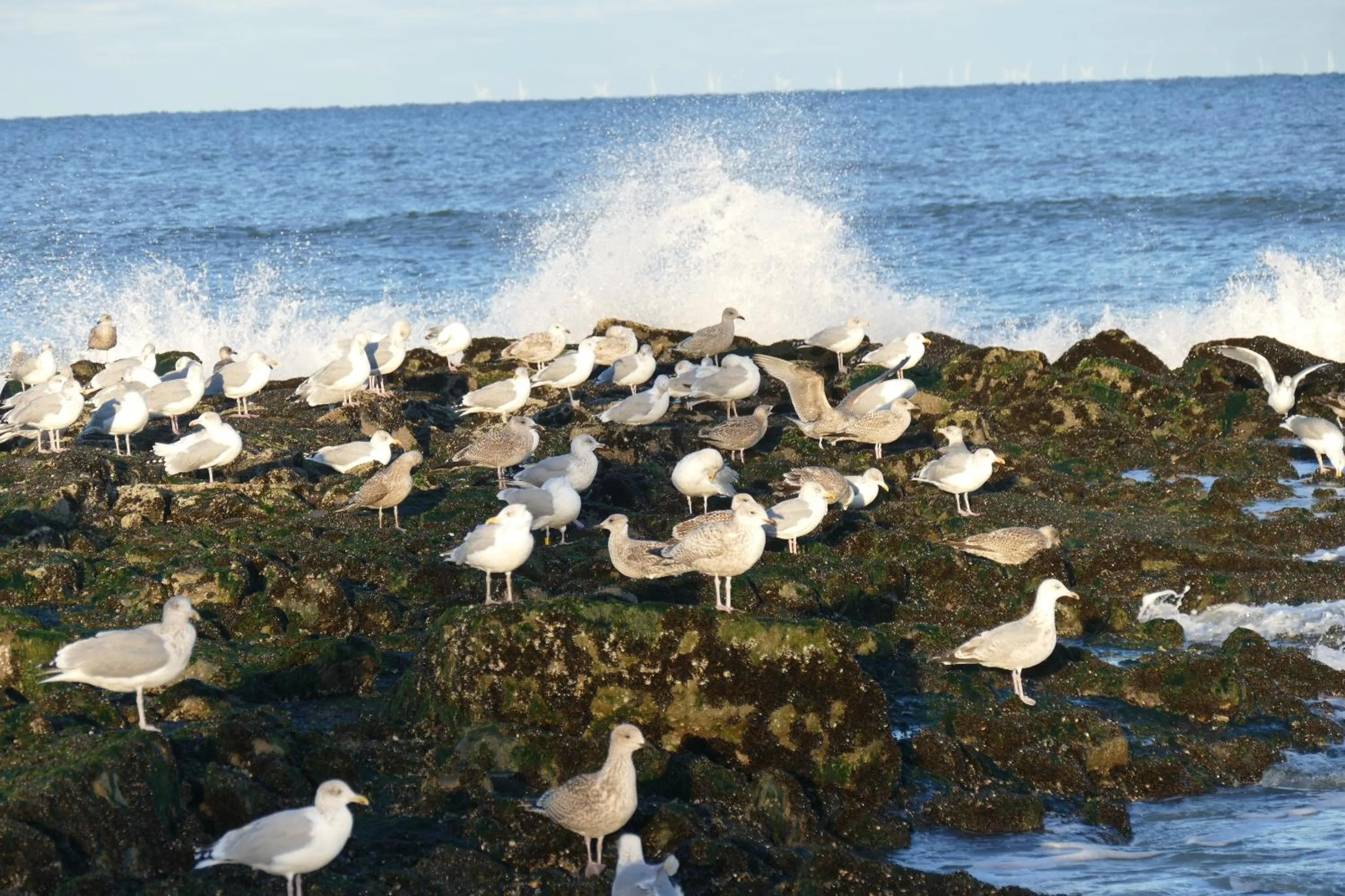 Beach in Hotel Wünschmann