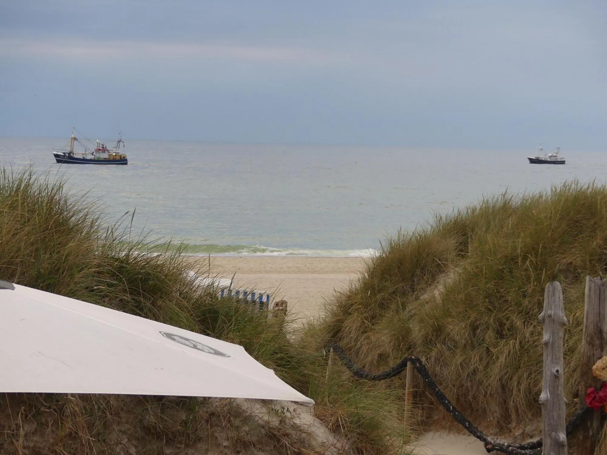 Natural landscape in Hotel Wünschmann