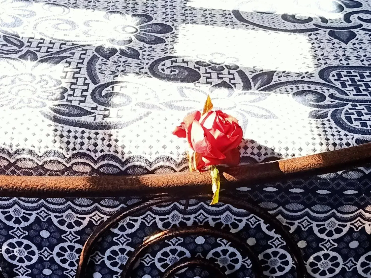 Nuba Tod Abouda Guest House