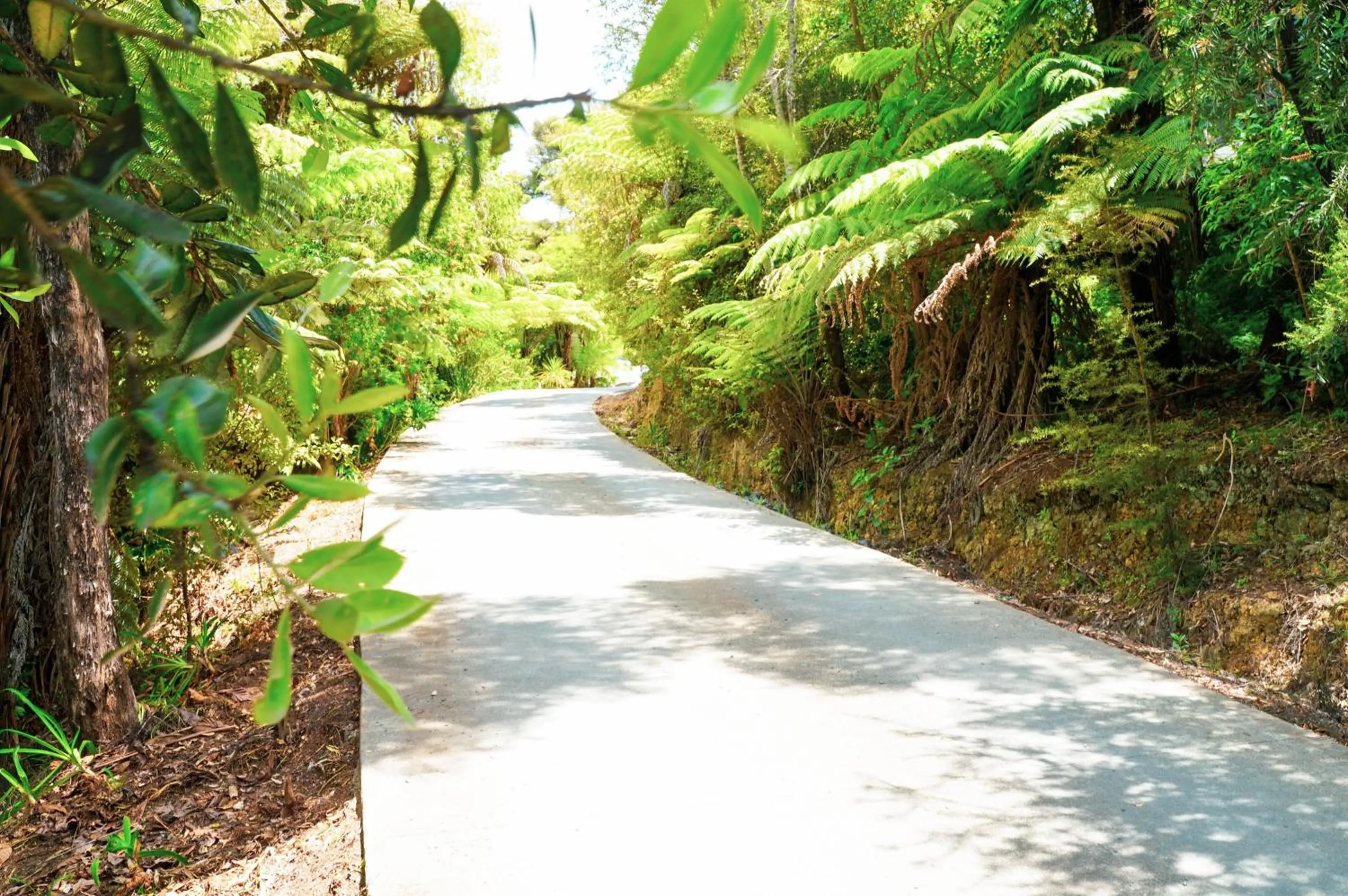 Natural landscape in Tui & Nikau Cabins