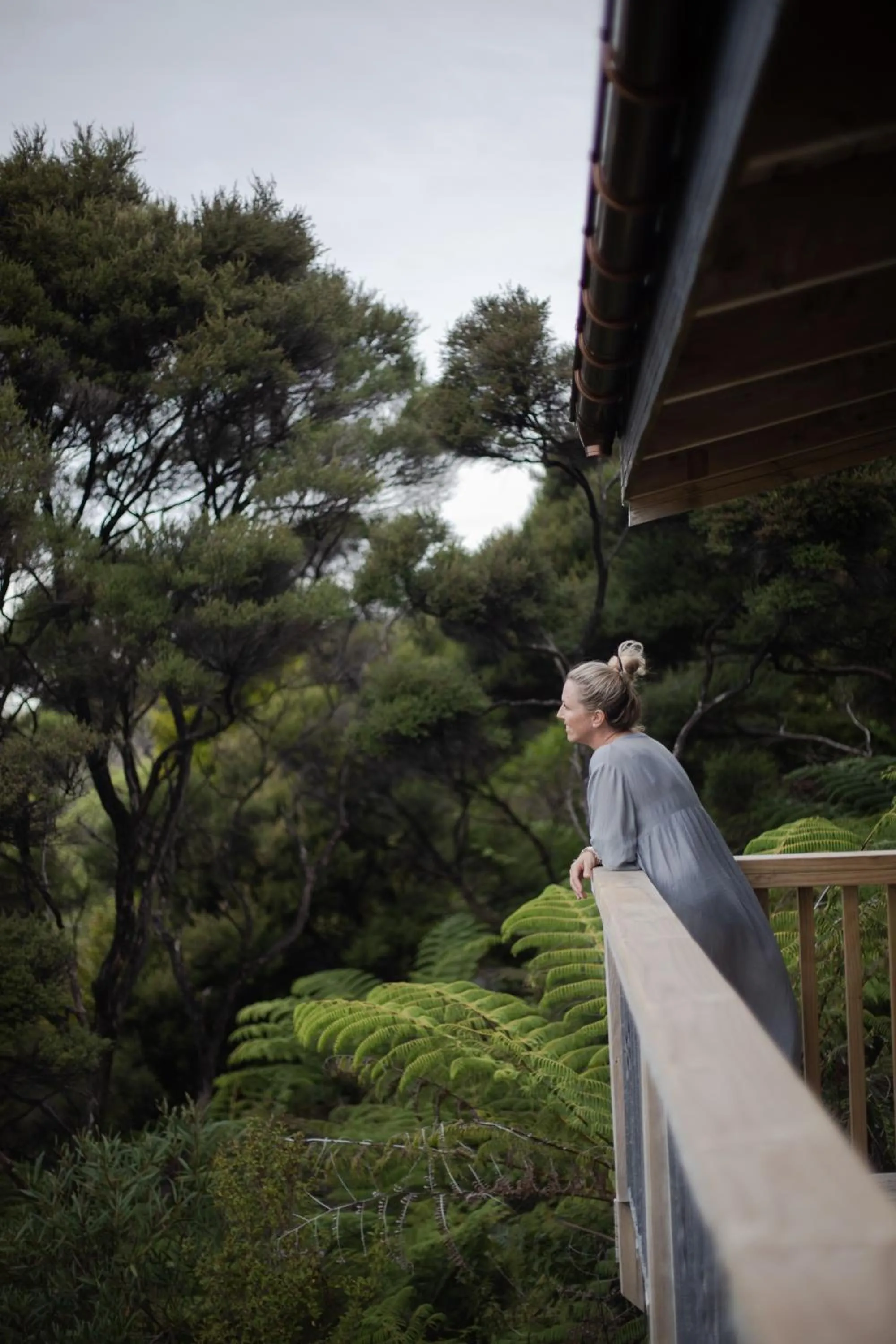 Natural landscape in Tui & Nikau Cabins