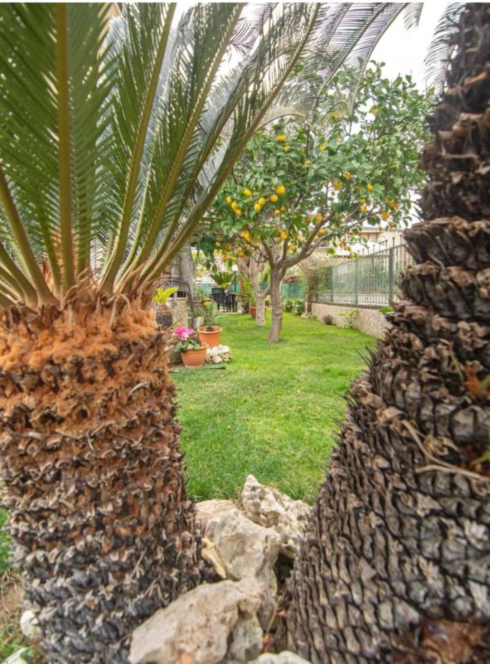 Garden view in B&B Villa Lilla