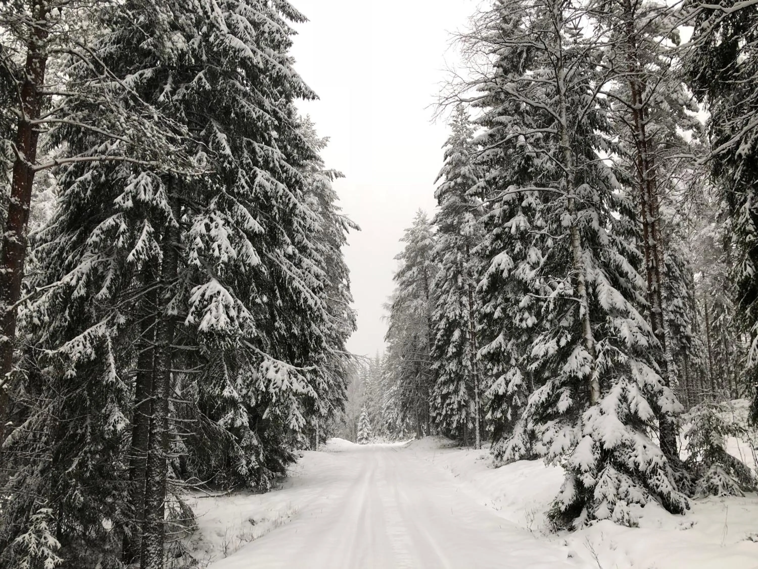 Natural landscape in Sundets Gård - Bed & Breakfast