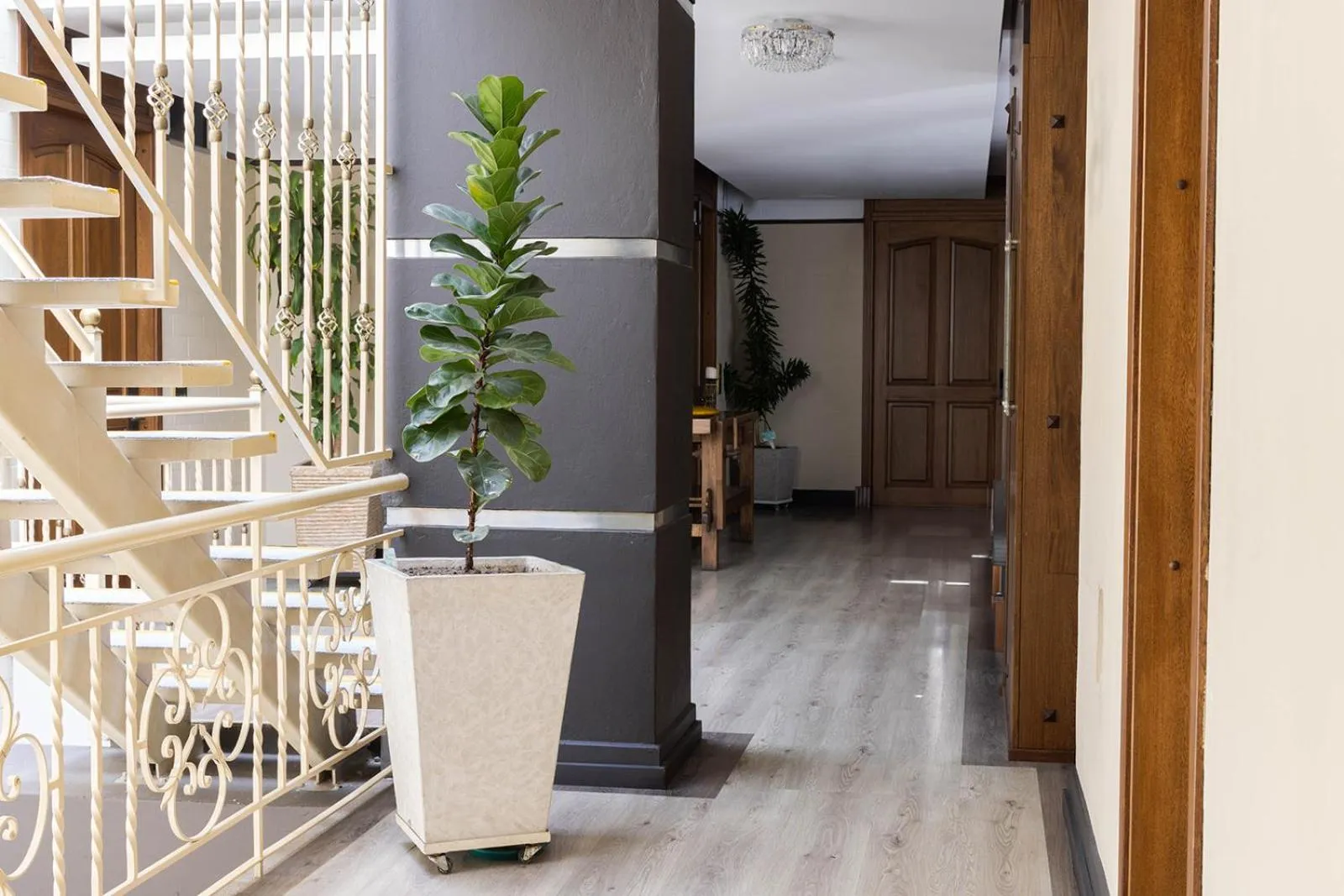 Area and facilities in Hotel Du Parc