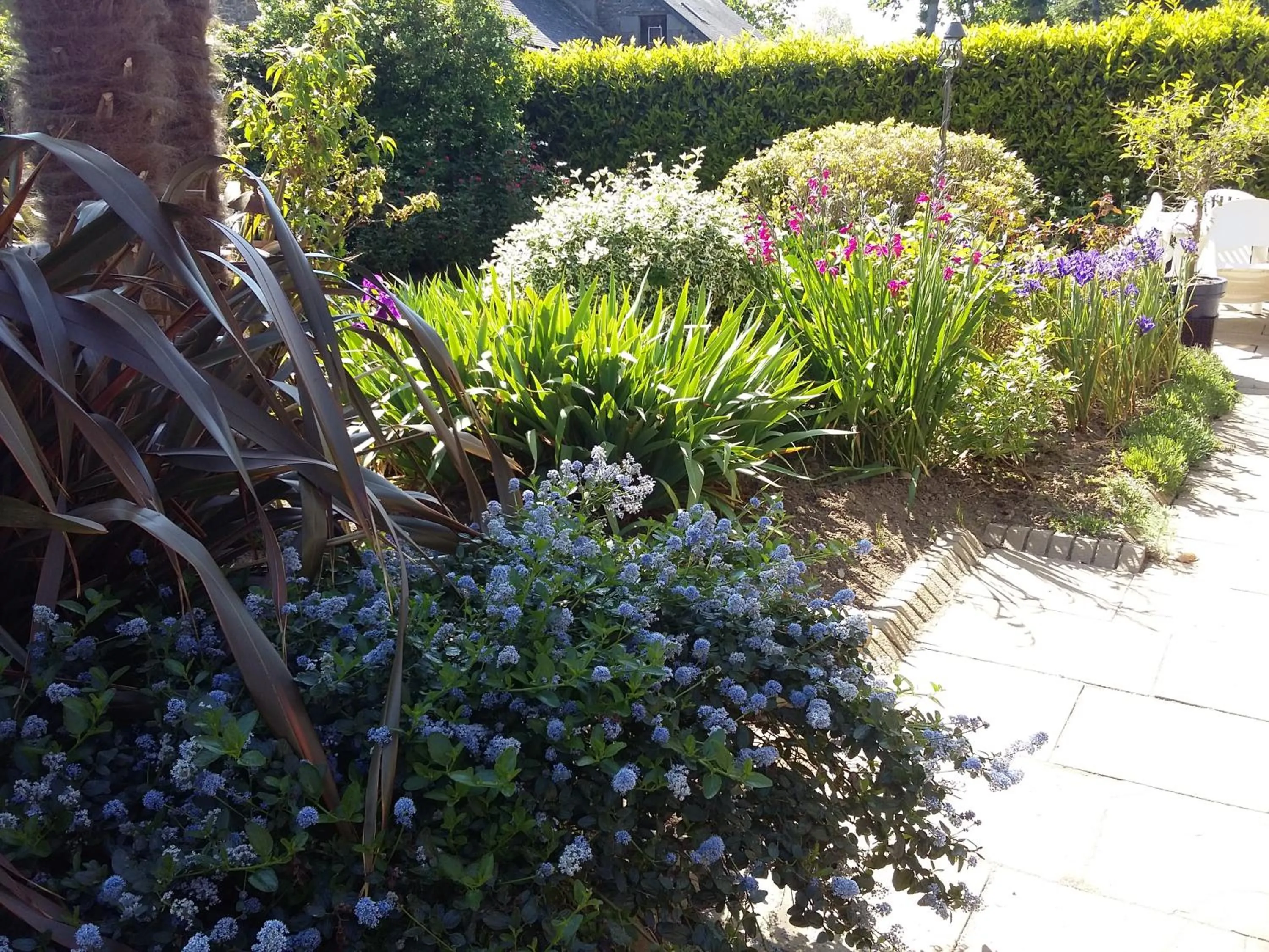 Garden in Les Petites Chapelles