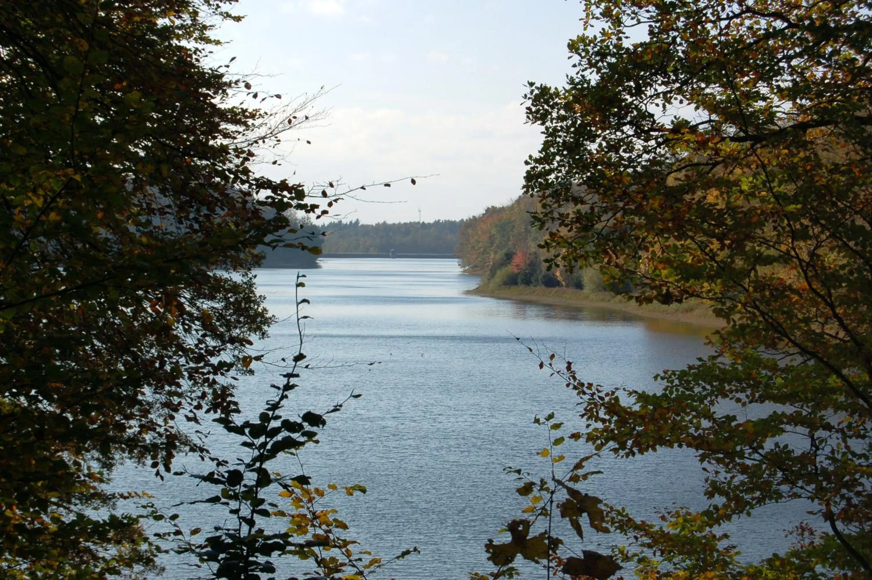 Natural landscape in Hotel Haus Koppelberg