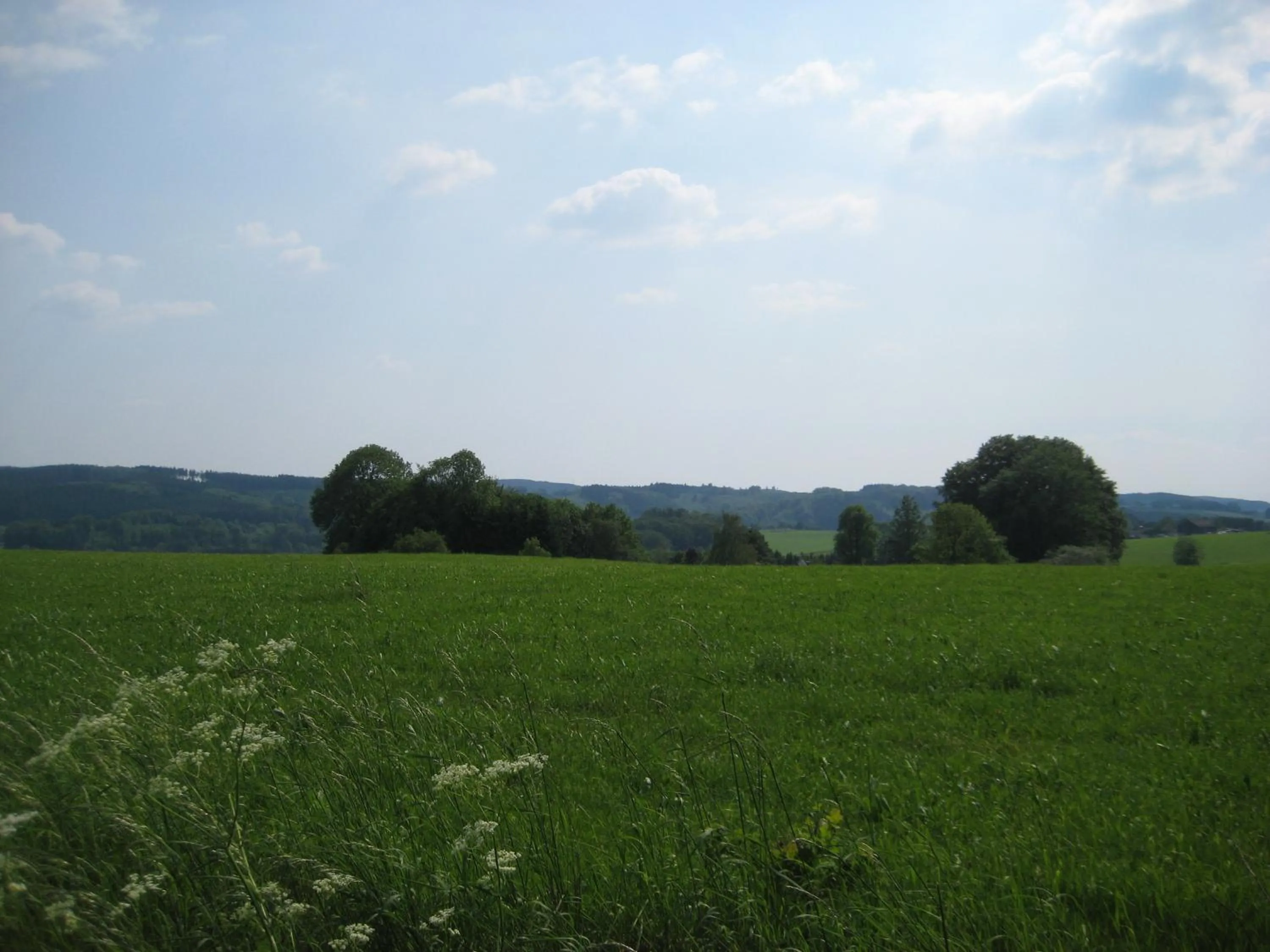 Natural landscape in Hotel Haus Koppelberg