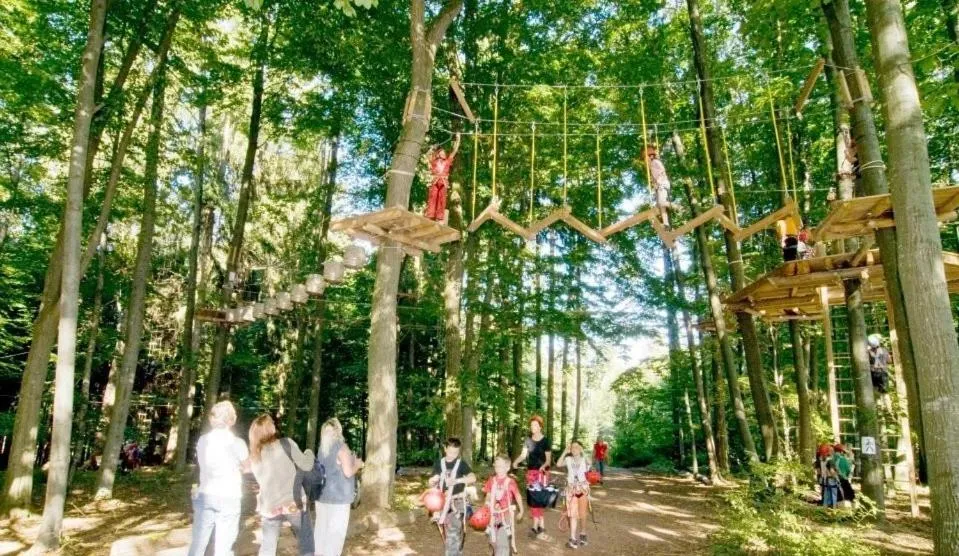 Activities in Hotel Gasthof Zum Löwen