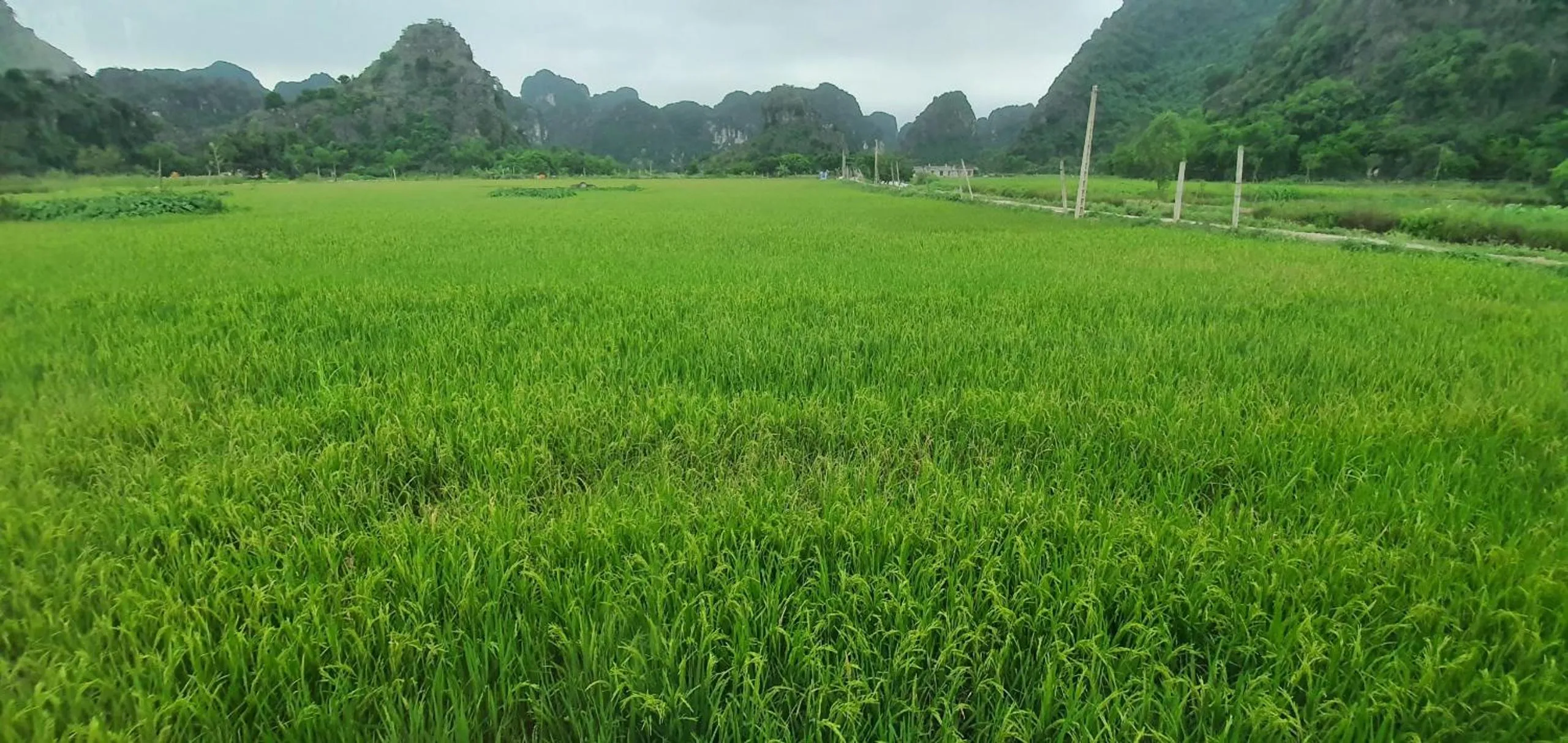 Trang An Moon Garden Homestay