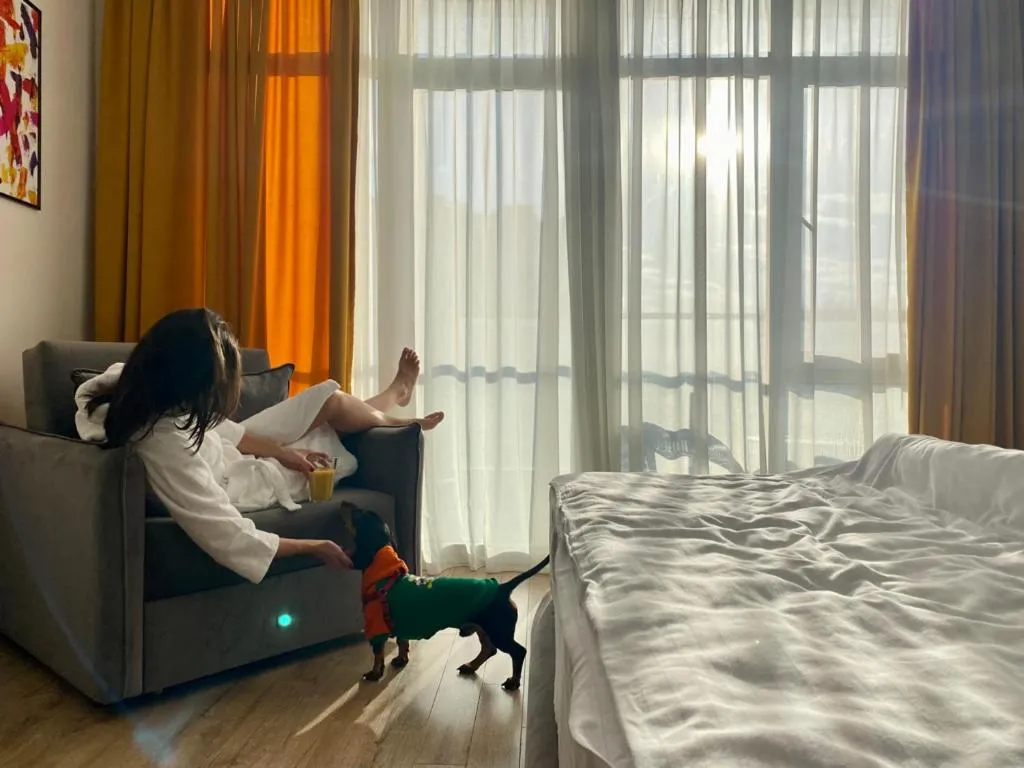 Pets, Bed in White Sails Residential Hotel