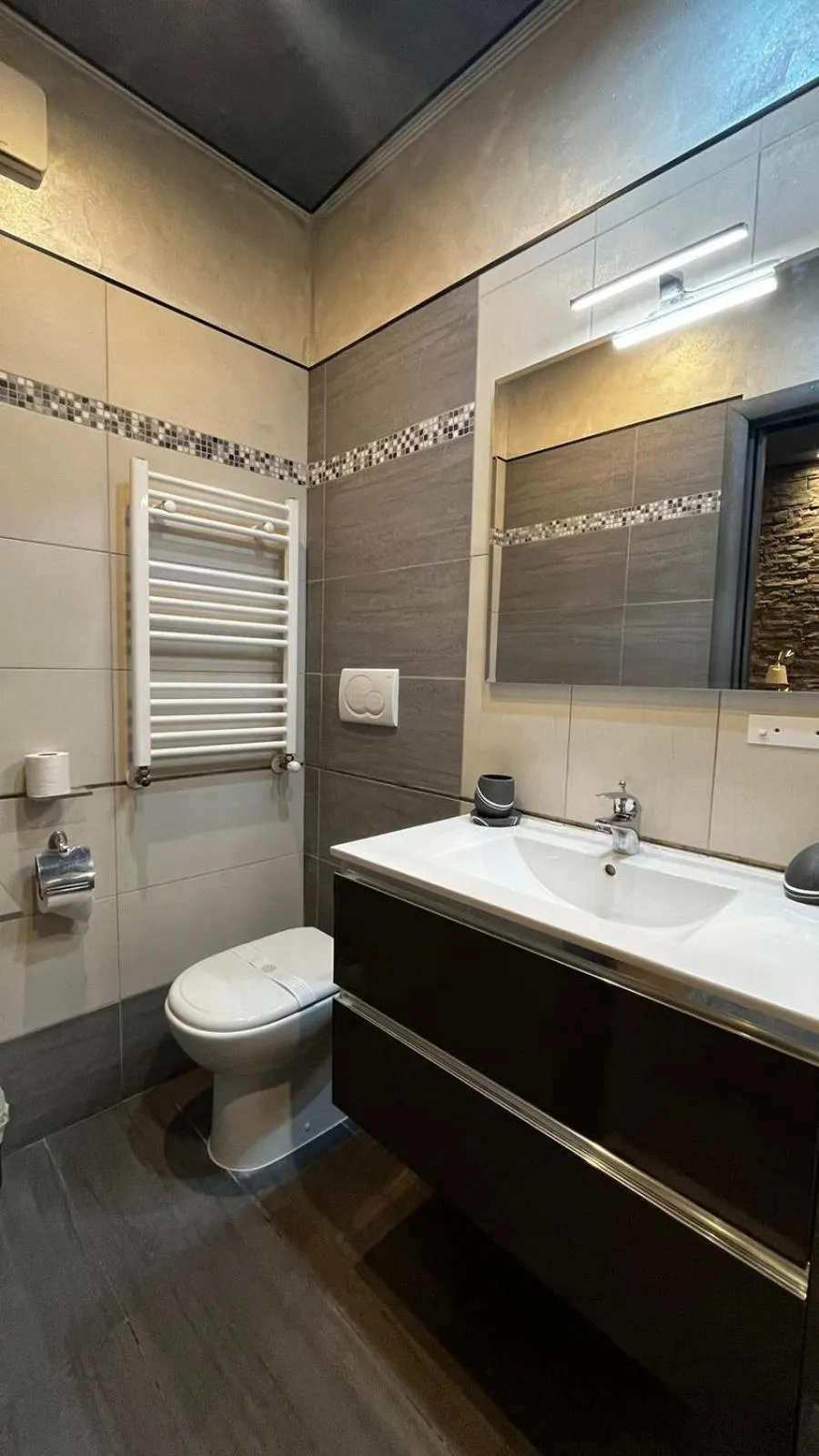 Toilet in Da Vinci
