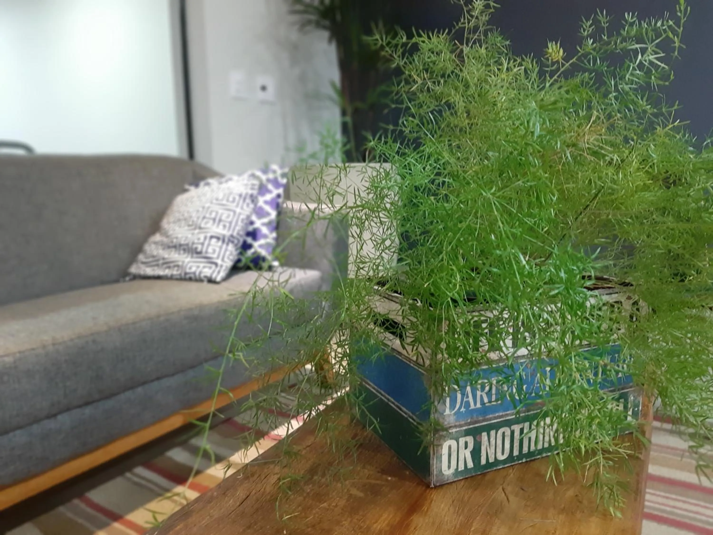 Property building in Hotel Horto