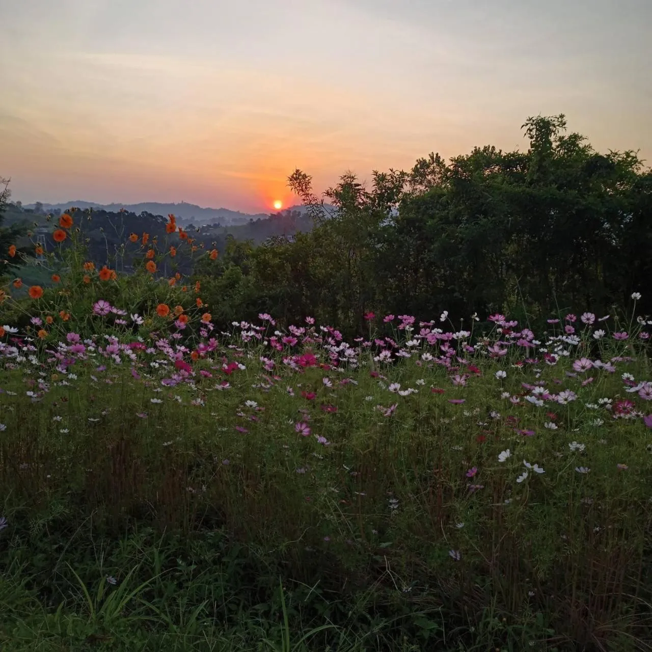 View (from property/room) in Phuyafahsai The Resort Khao Kho