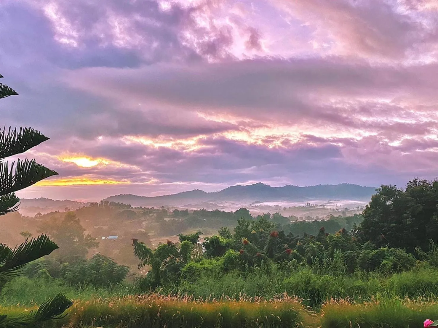 View (from property/room) in Phuyafahsai The Resort Khao Kho