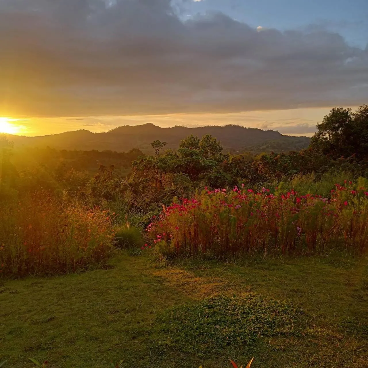 View (from property/room) in Phuyafahsai The Resort Khao Kho