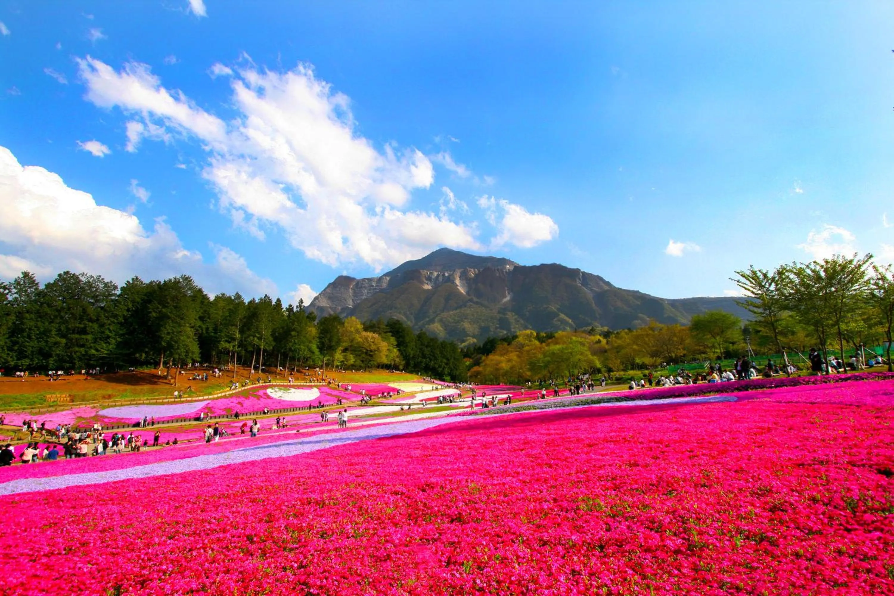 Ikoi no Mura Heritage Minoyama