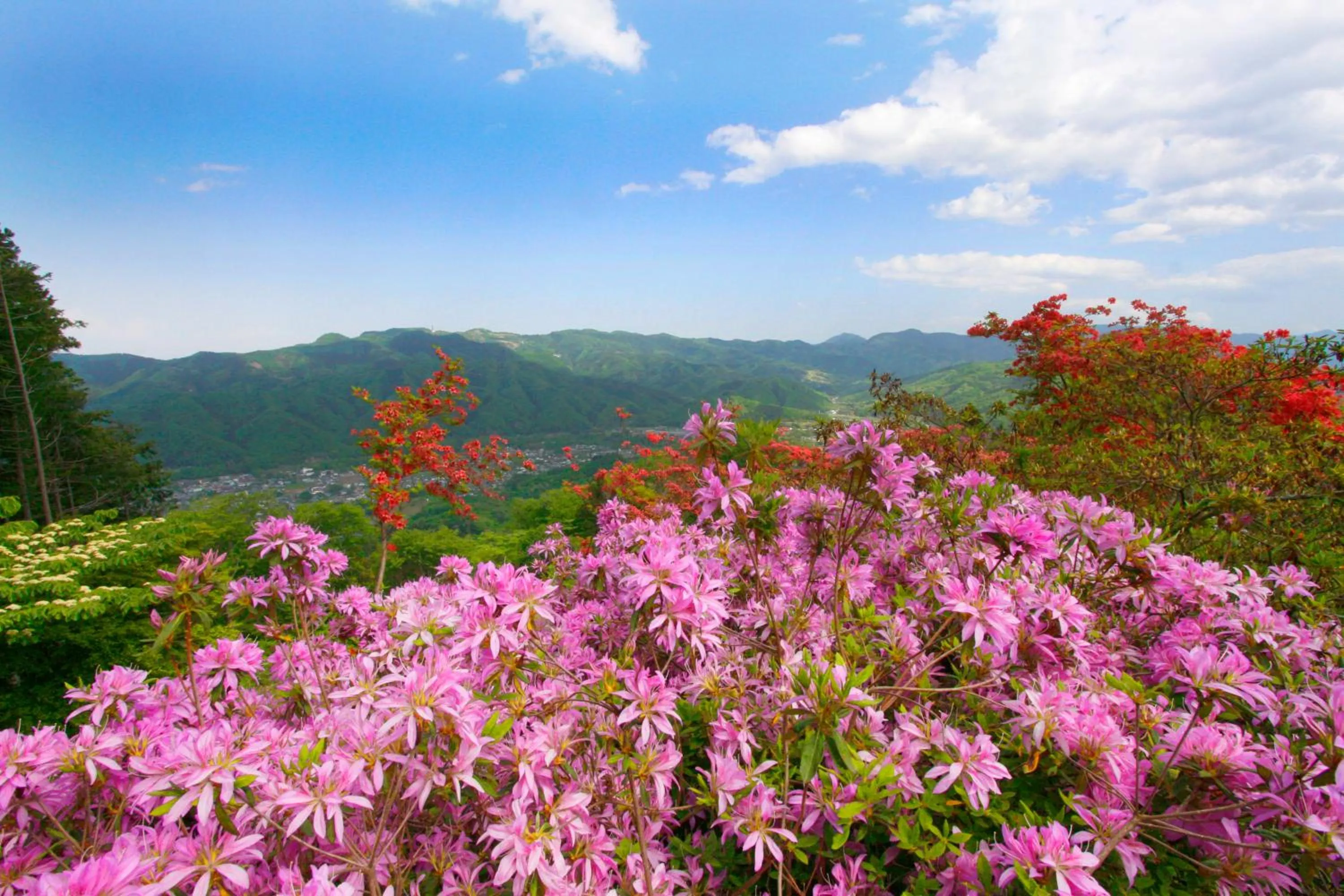 Ikoi no Mura Heritage Minoyama