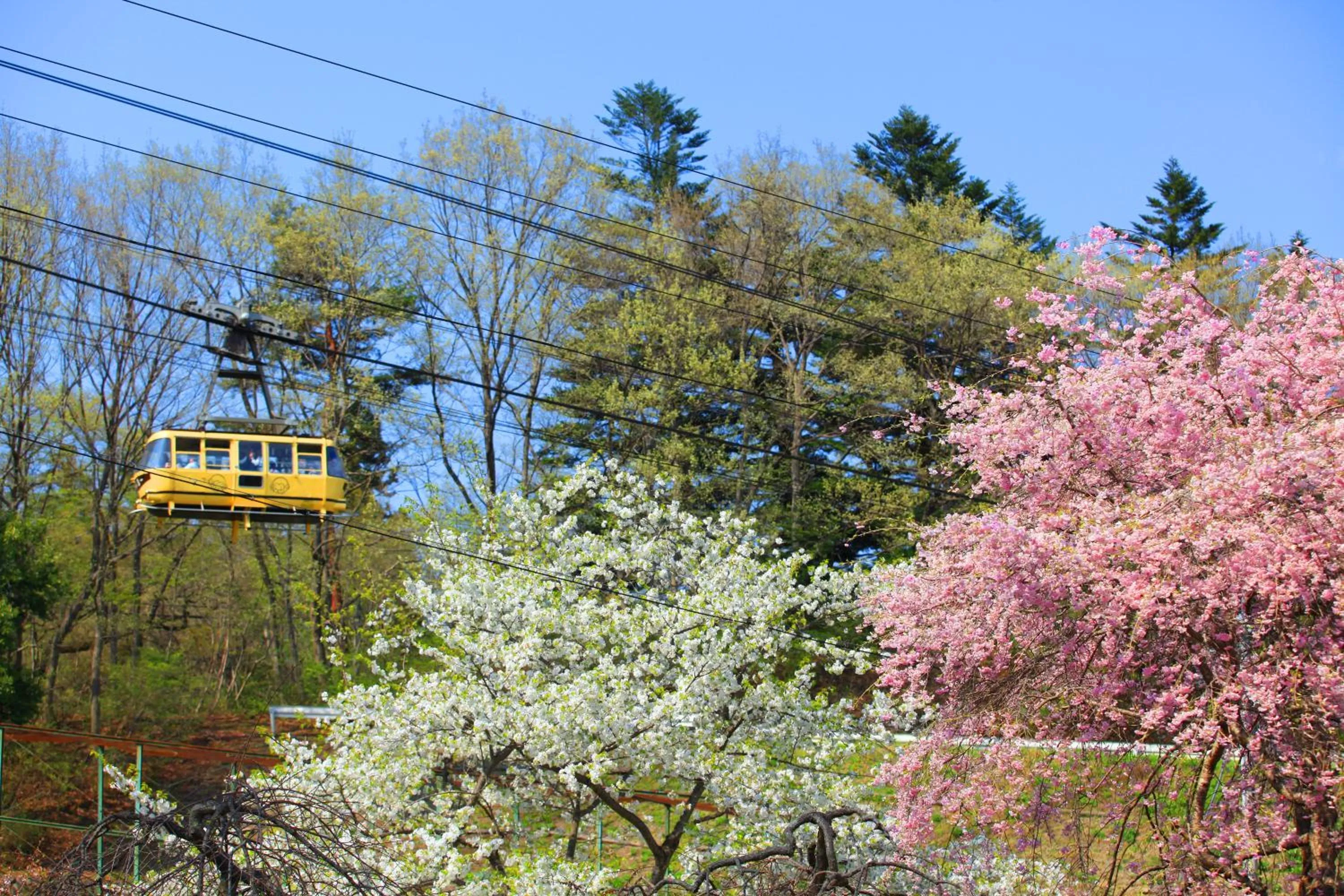 Ikoi no Mura Heritage Minoyama