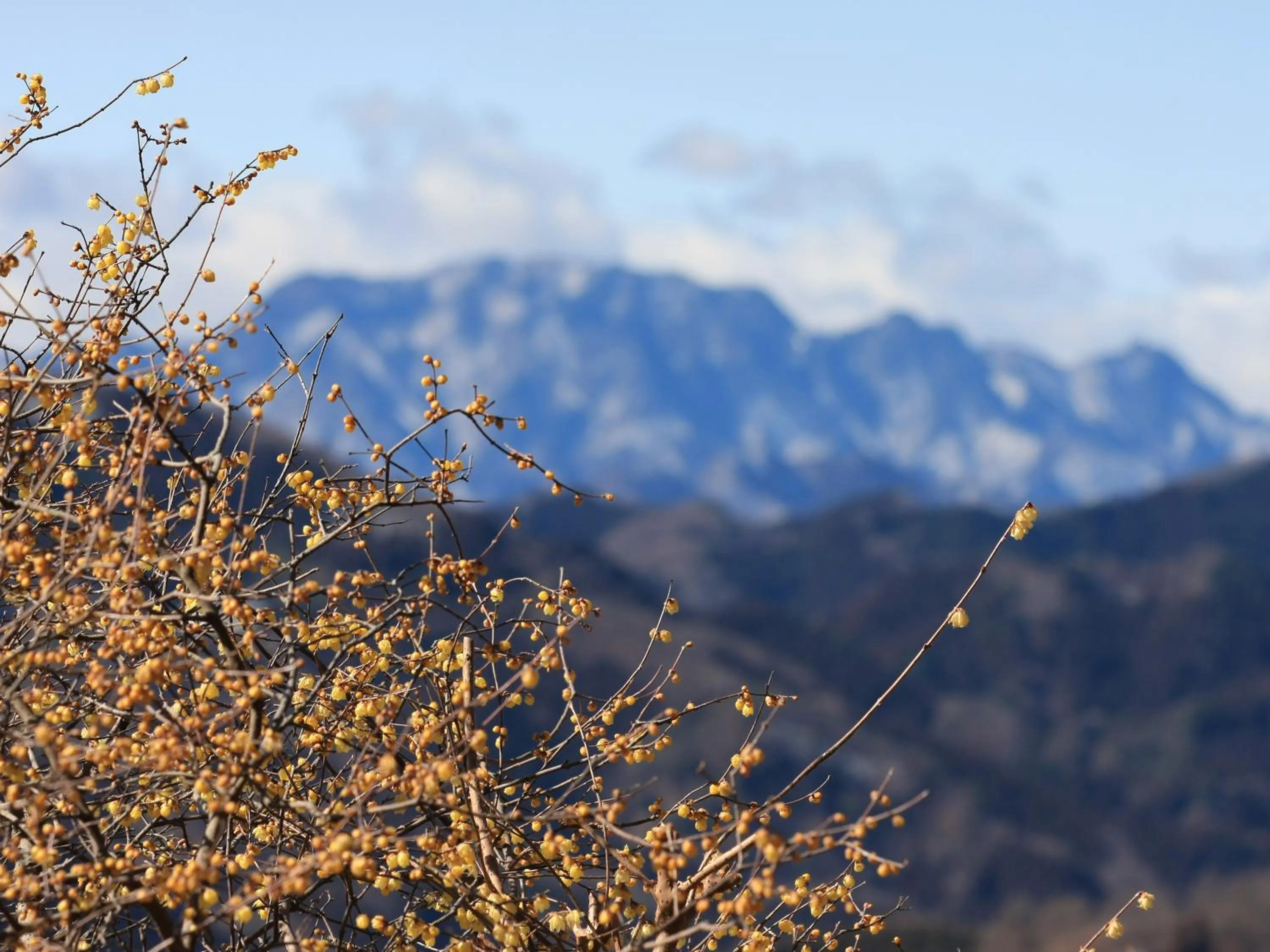 Day in Ikoi no Mura Heritage Minoyama