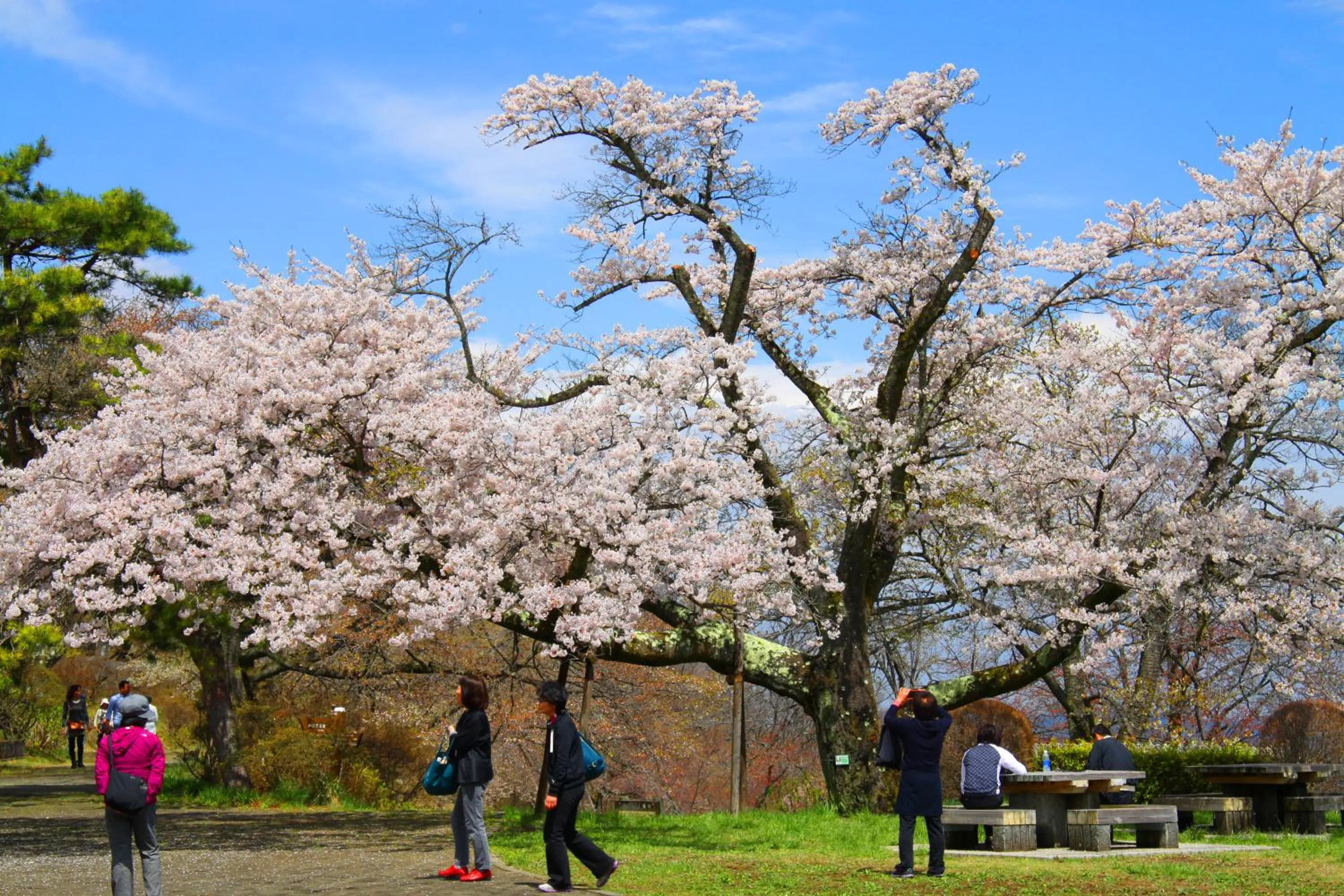 Ikoi no Mura Heritage Minoyama