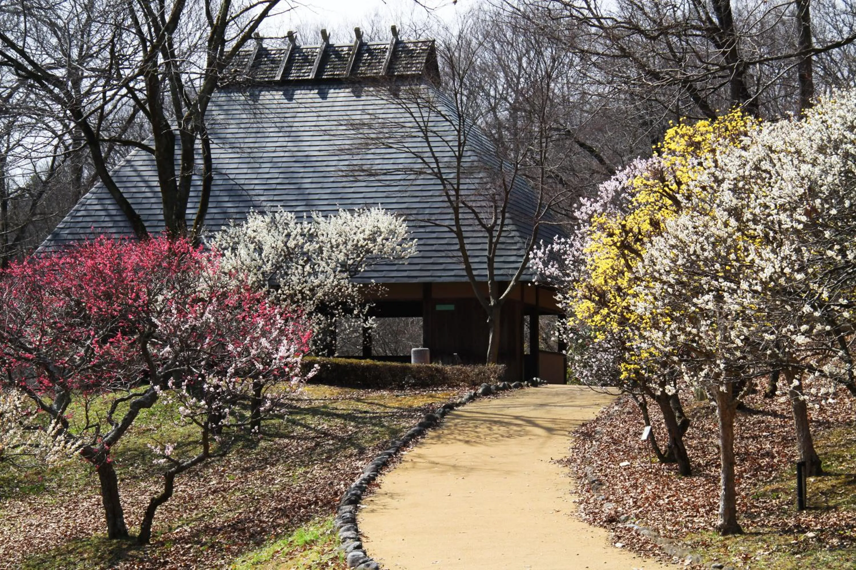 Ikoi no Mura Heritage Minoyama