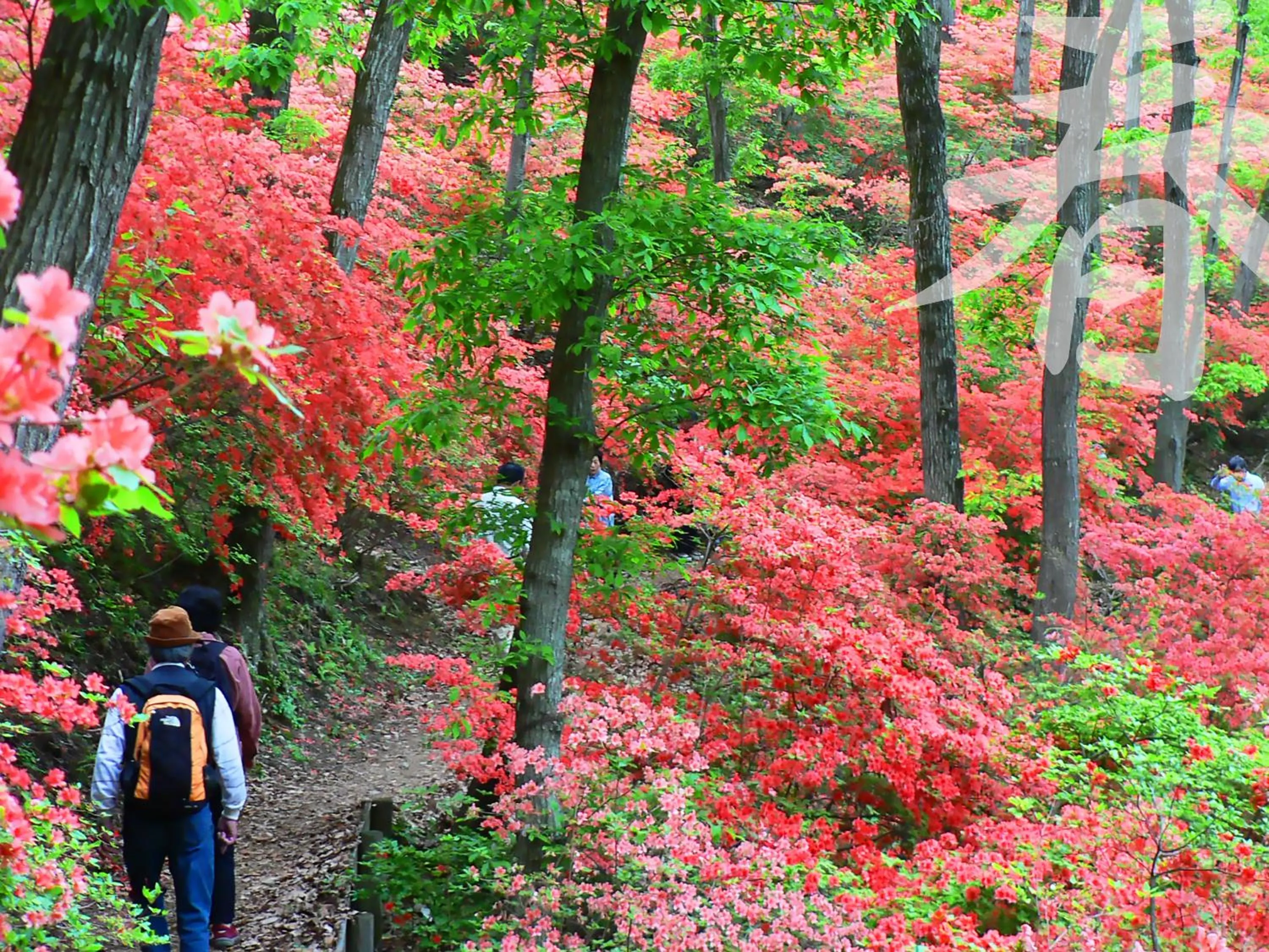 Nearby landmark in Ikoi no Mura Heritage Minoyama