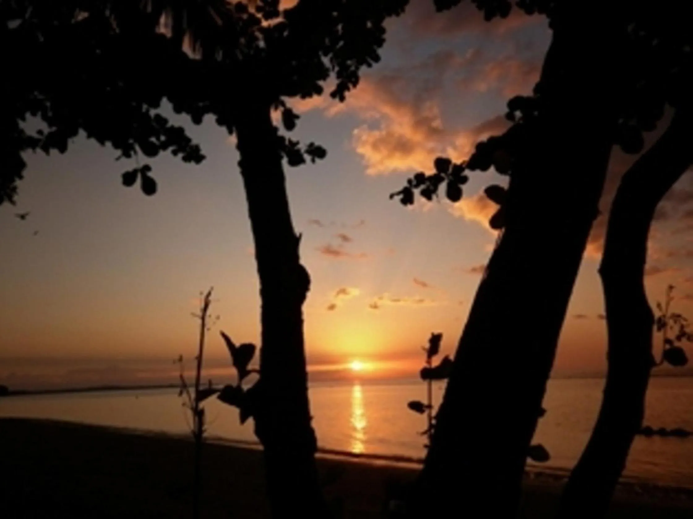 Area and facilities in Rinjani Beach Eco Resort