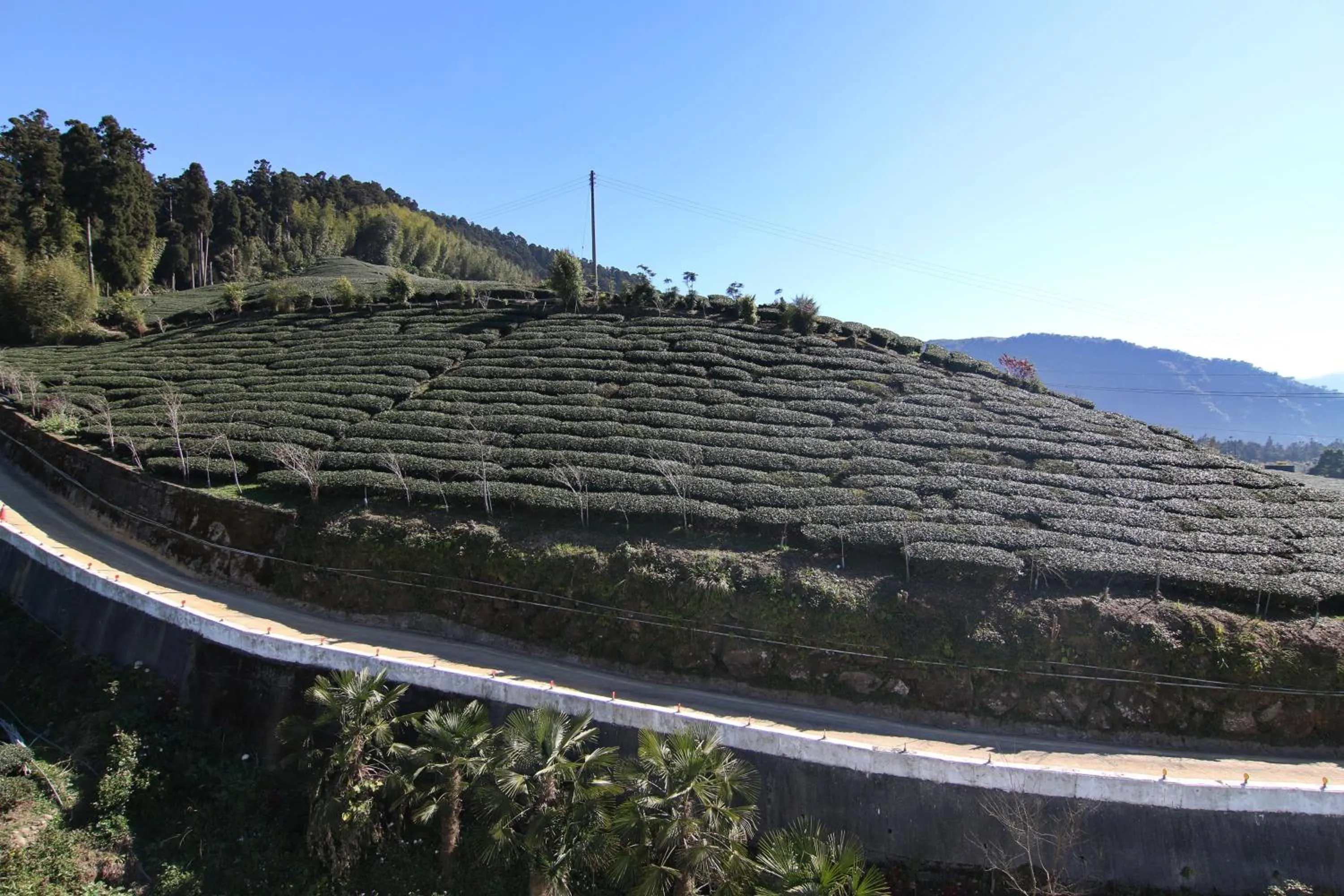View (from property/room) in Alishan B&B YunMinGi